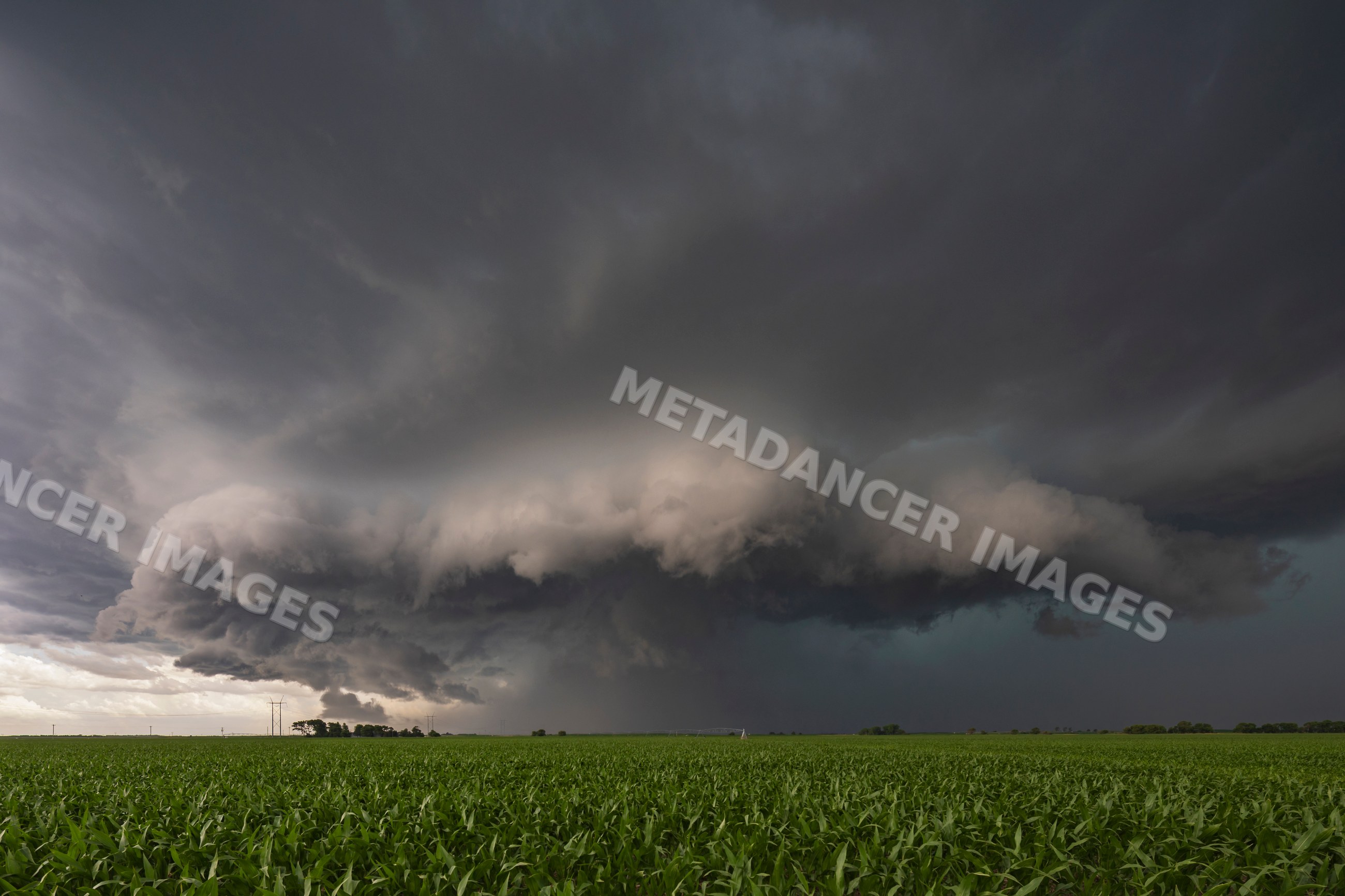 Storm Structure over Corn Field near Odessa nebraska