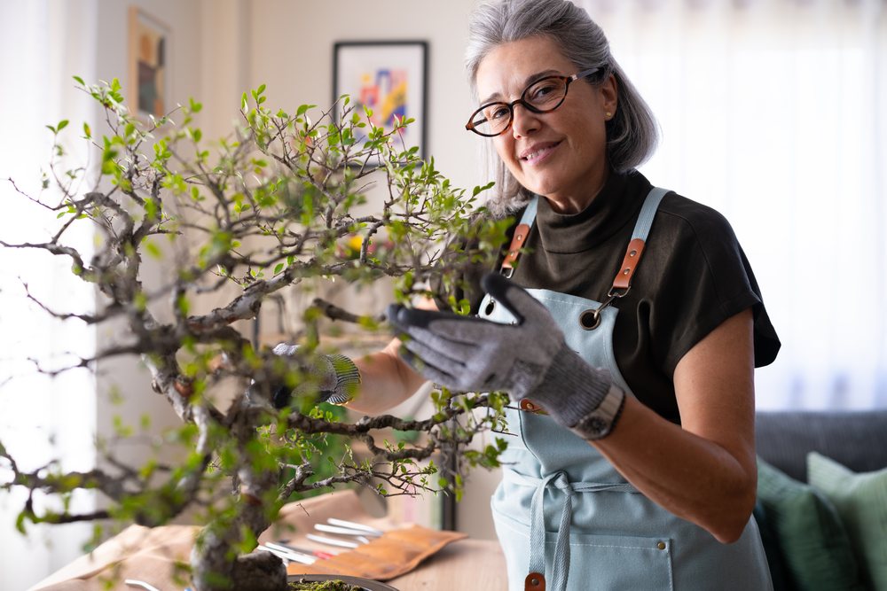 White woman tending bonsai tree indoors with gardening gloves