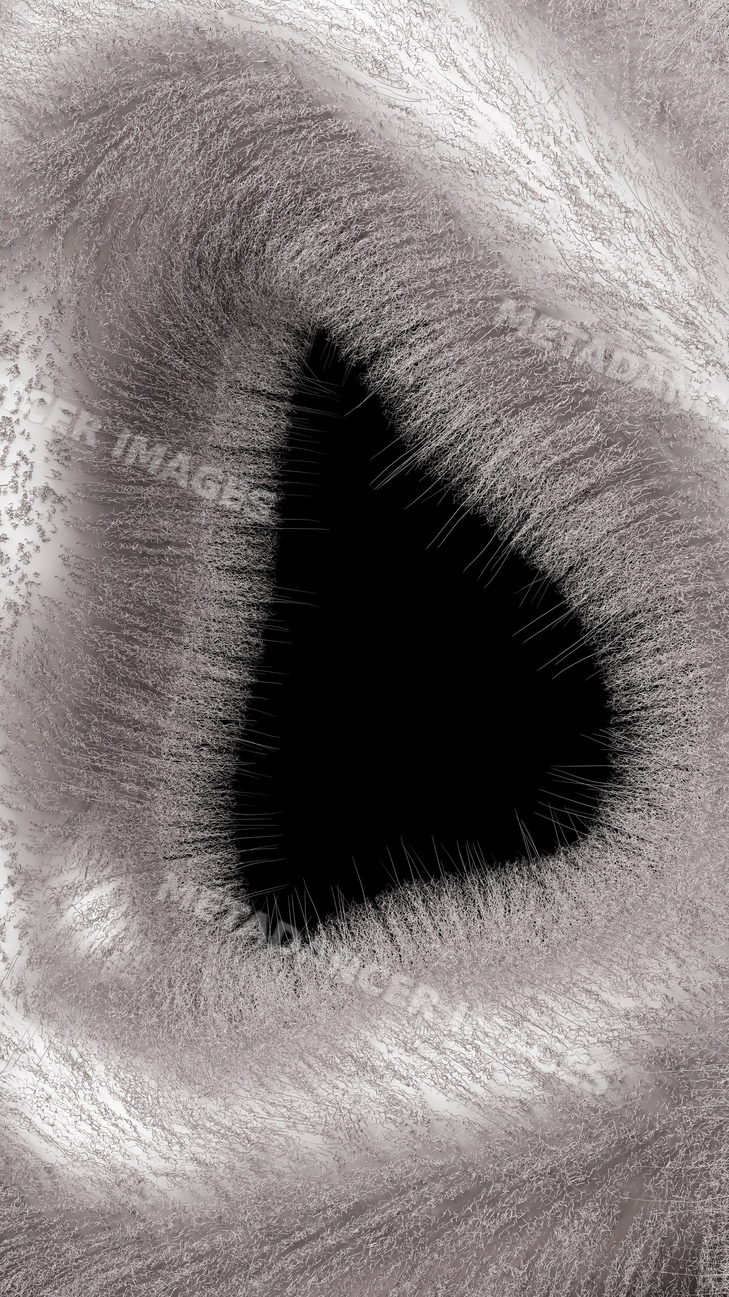 Abstract digital art with swirling black shape and textured wavy lines