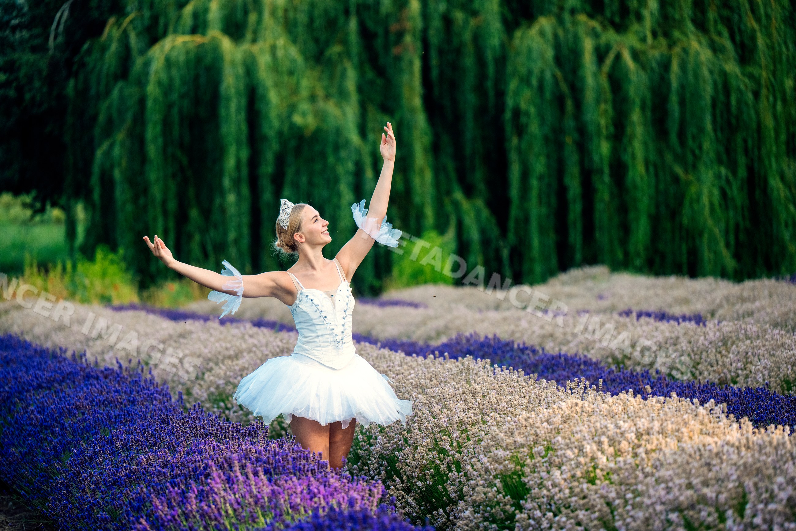 Ballerina in white tutu dancing gracefully in a lavender field
