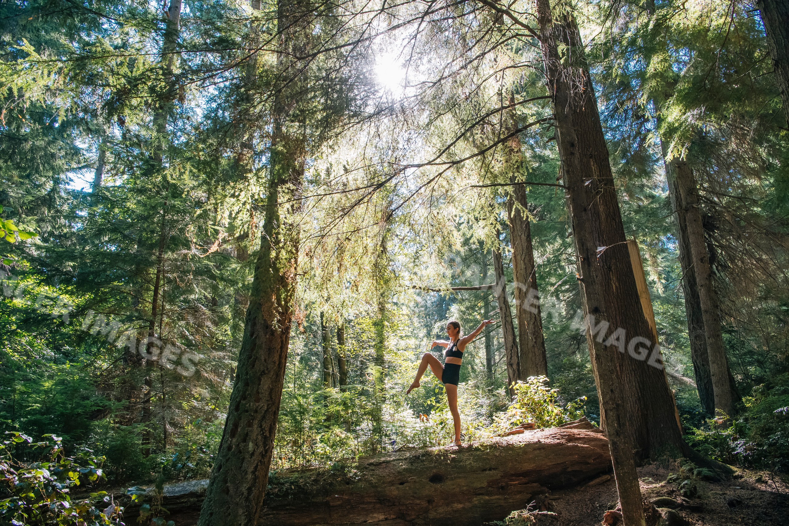 Contortionist white woman balancing on log in sunlit forest