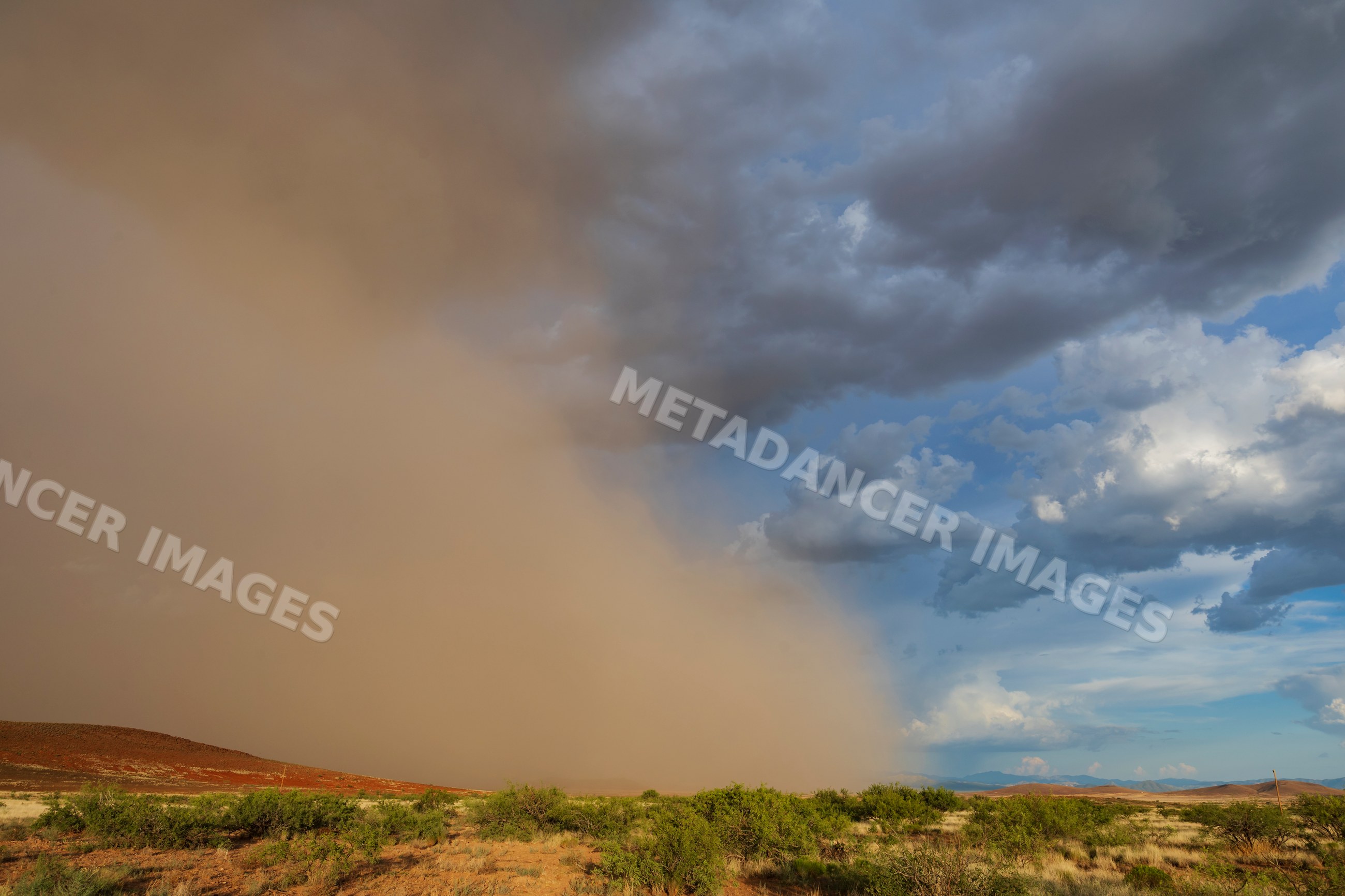 Leading edge of a large Haboob dust storm in rodeo Arizona