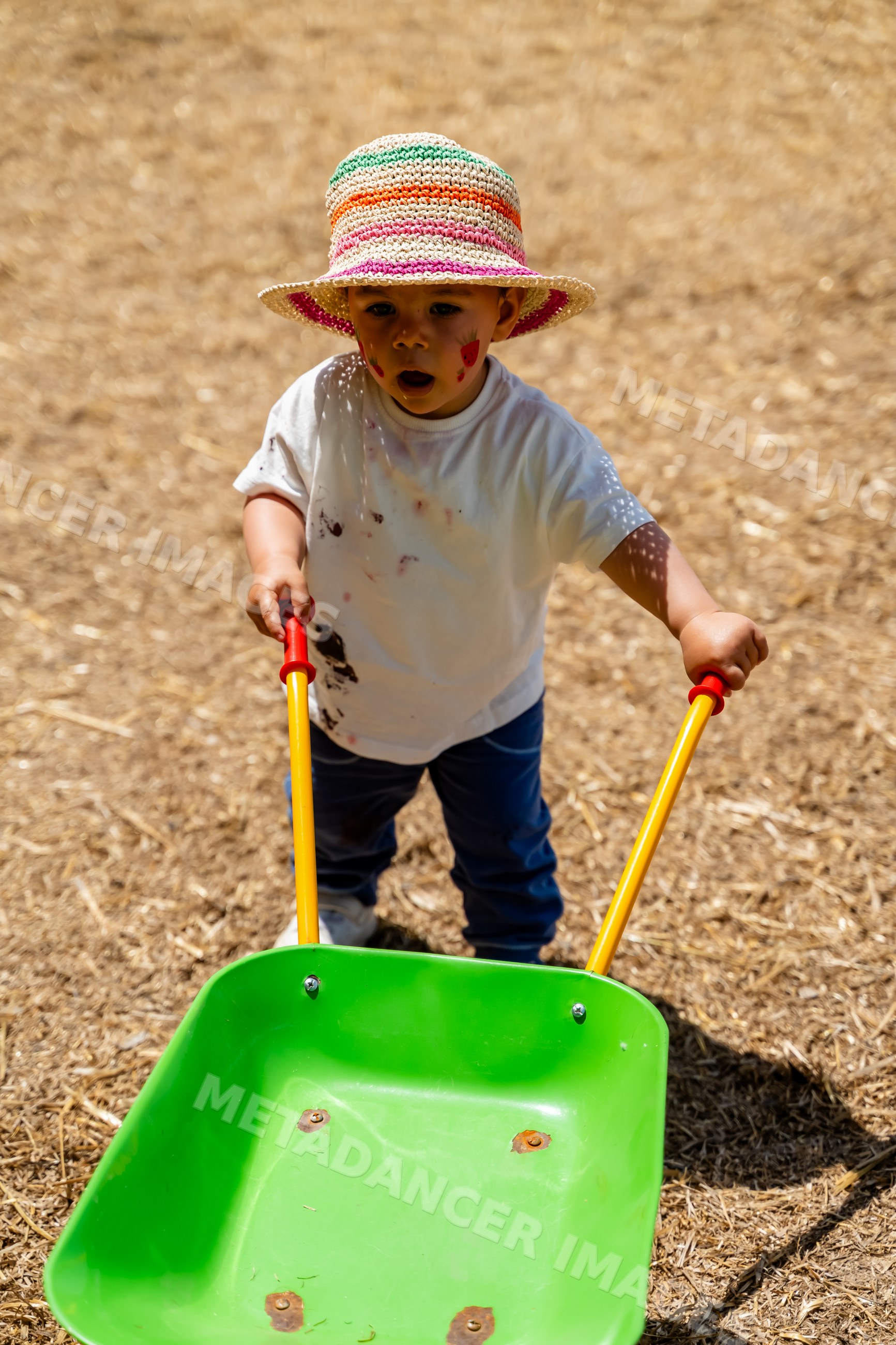 White child playing with toy wheelbarrow outdoors on straw ground