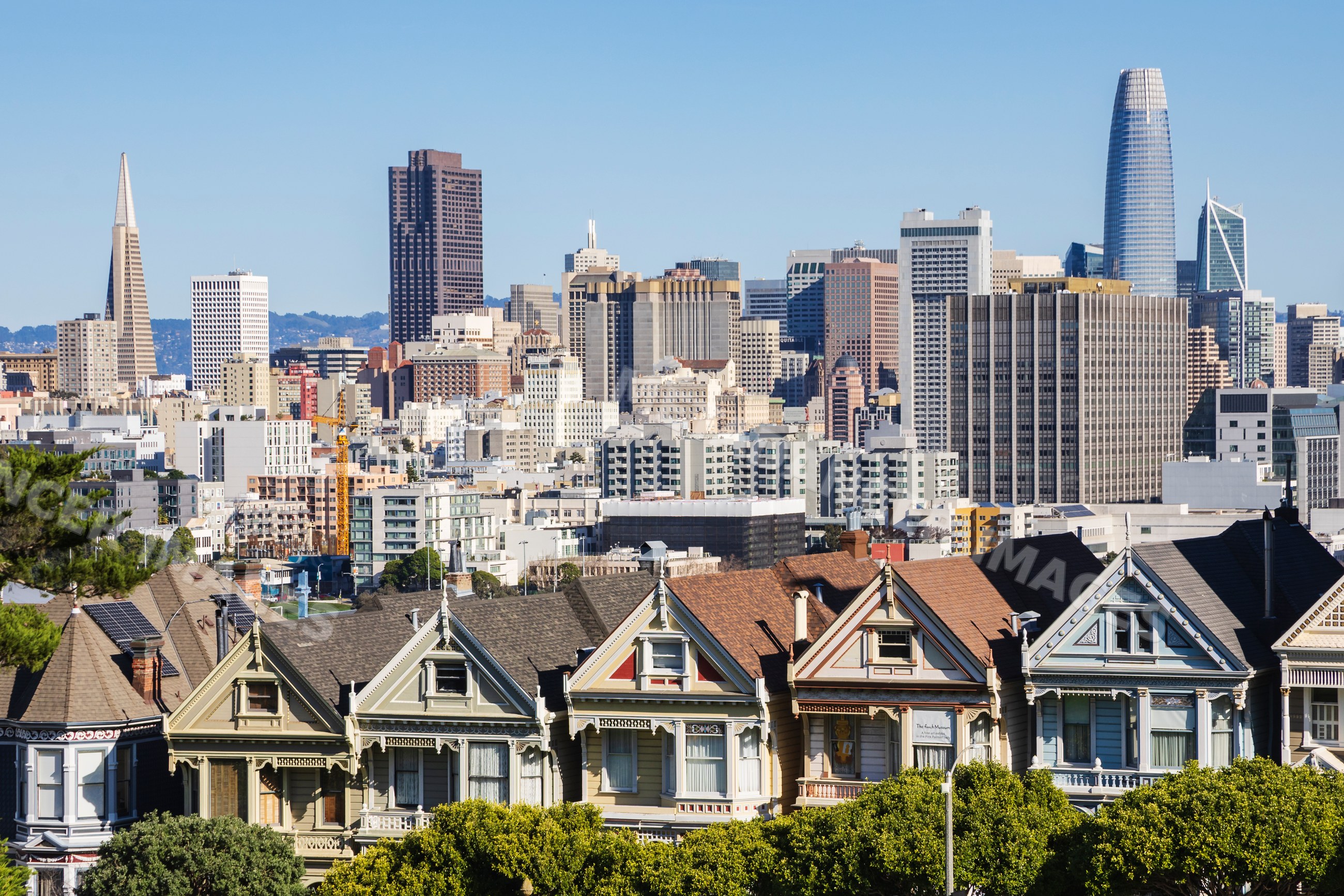 San Francisco skyline with victorian painted ladies at alamo square