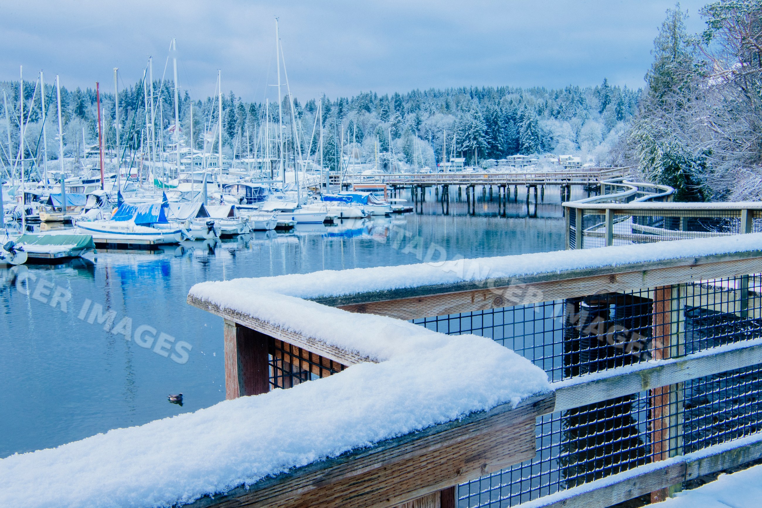 Marina with boats docked in snowy winter at WA, USA