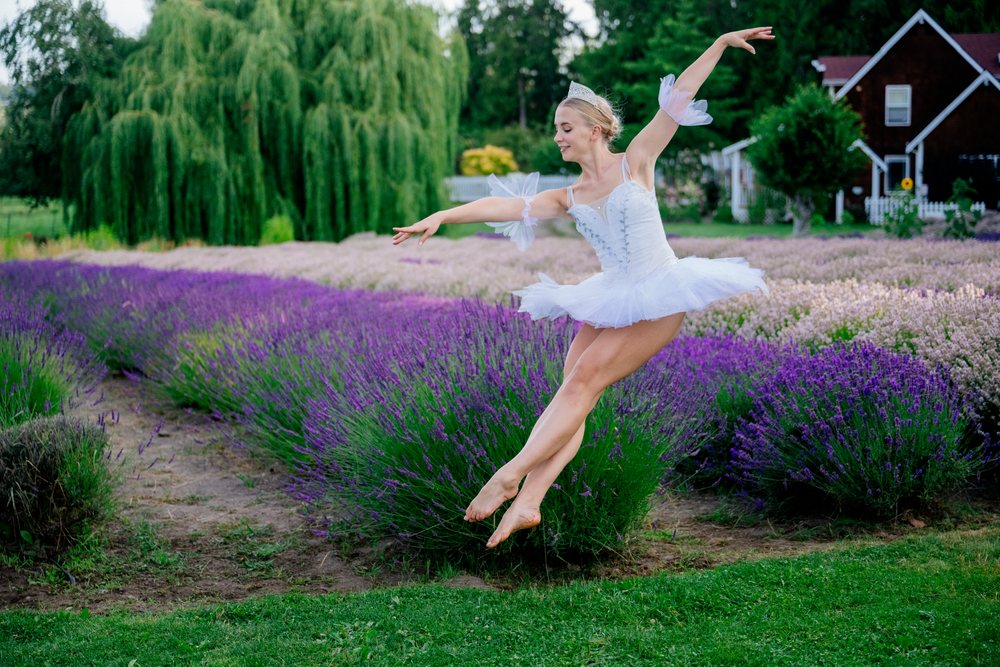 A ballet white dancer leaps gracefully in a lavender field in WA, USA