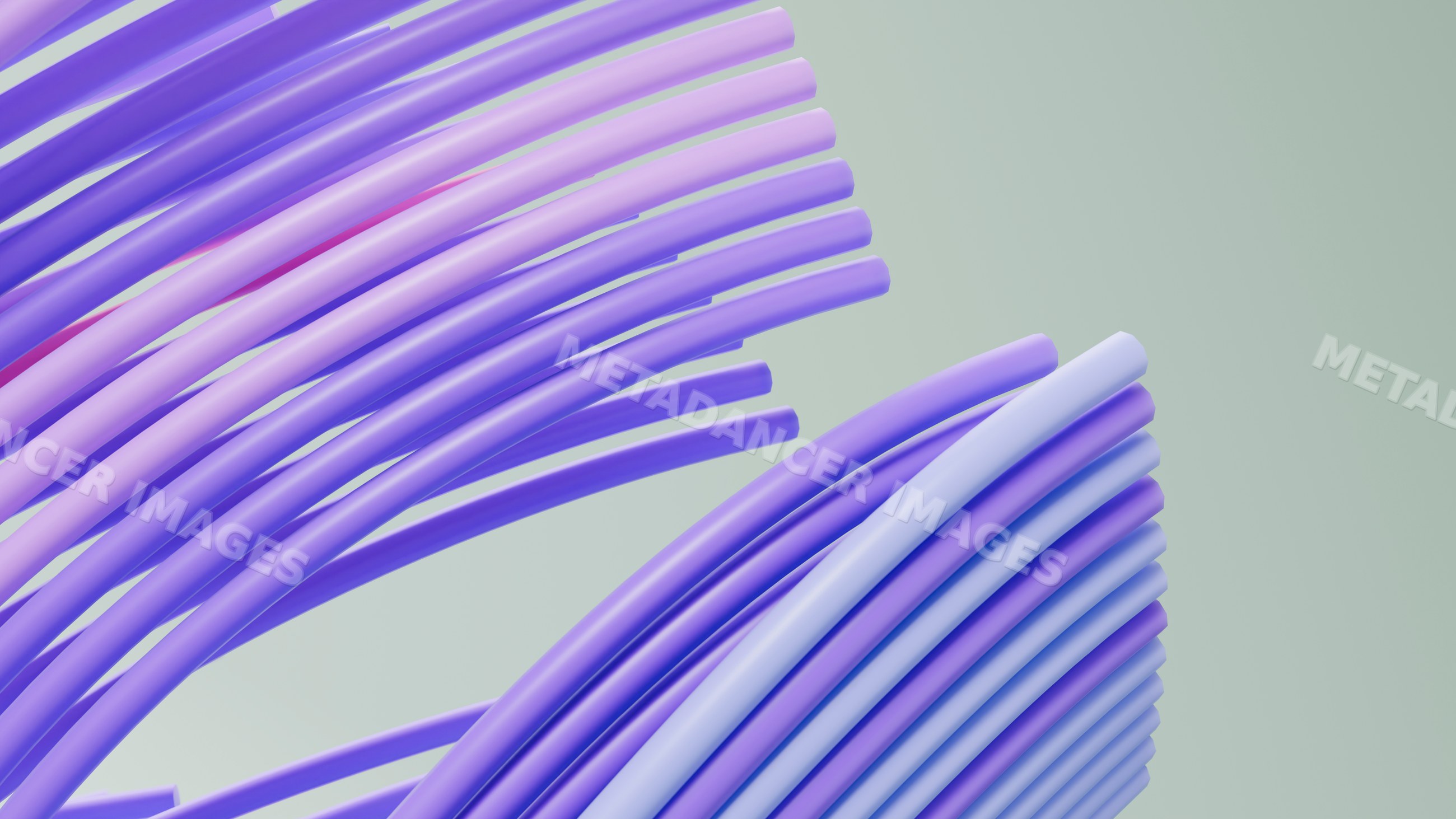 Abstract 3d purple curved tubes digital illustration