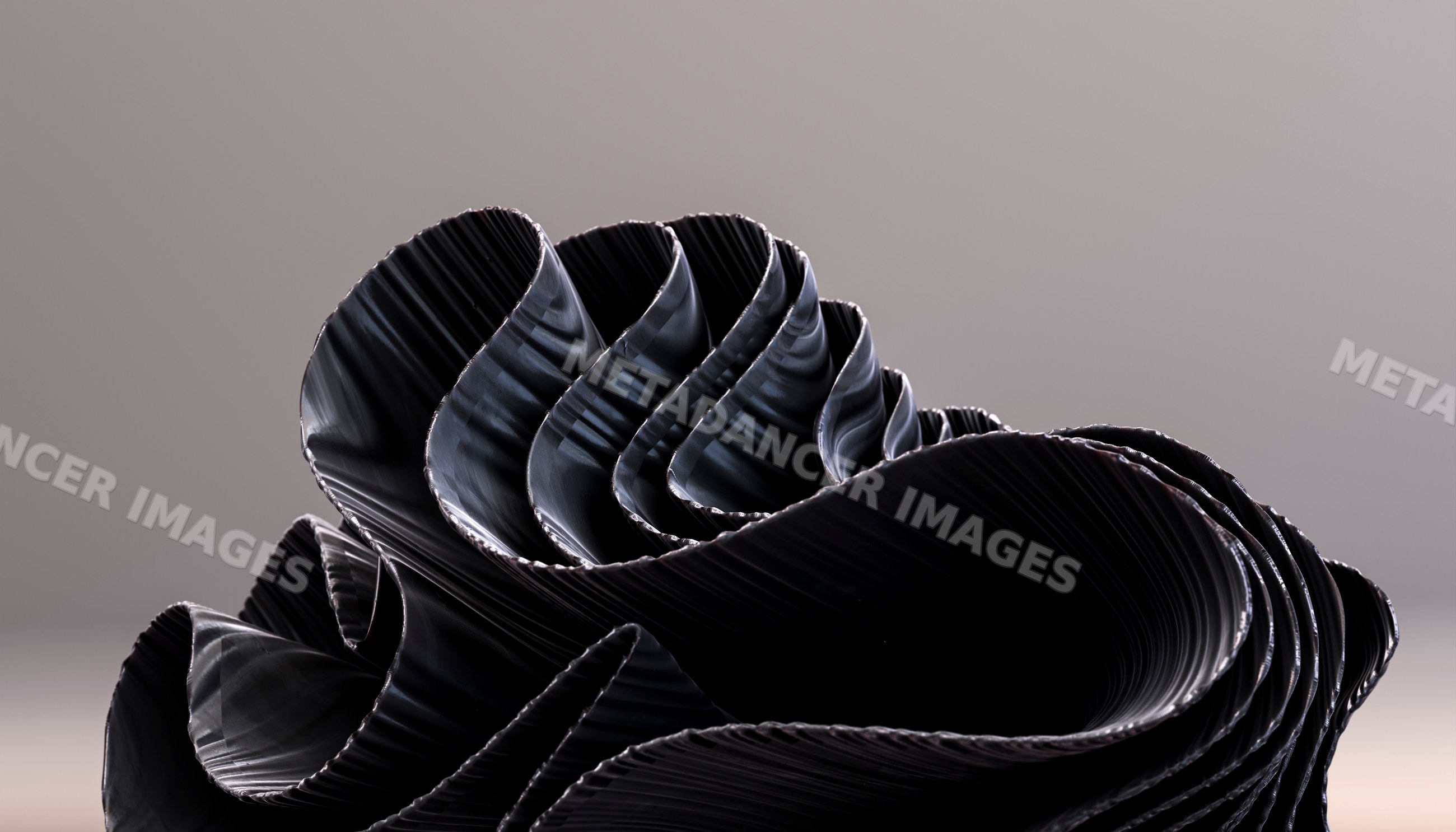 Black sculptural sheets with curved folds and abstract textured