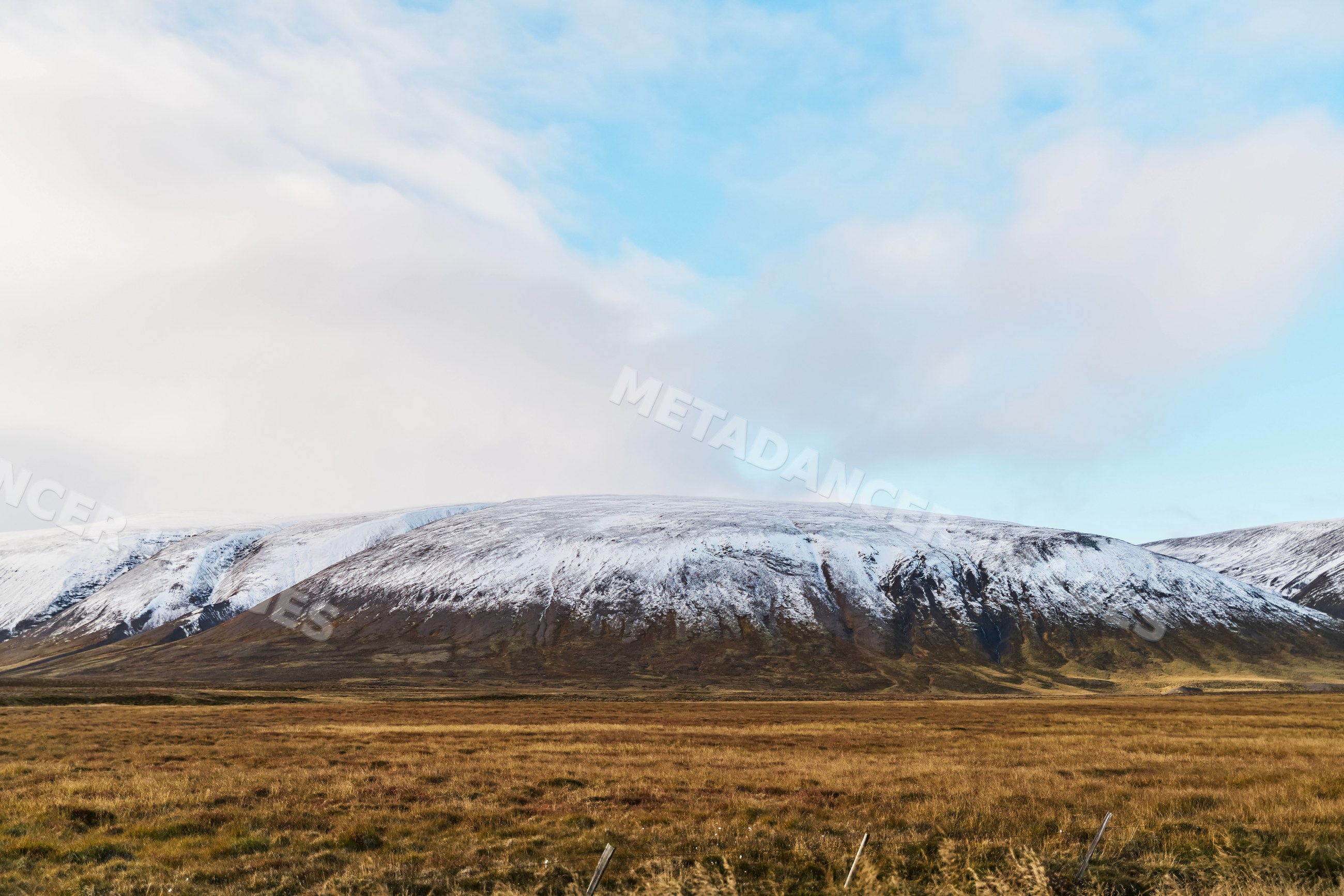 Snow-capped mountain stands over expansive grassland