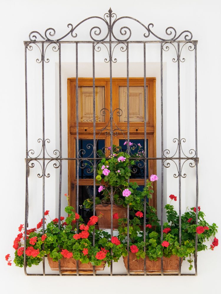 Window with potted plants and wrought iron grill, valencia, Spain