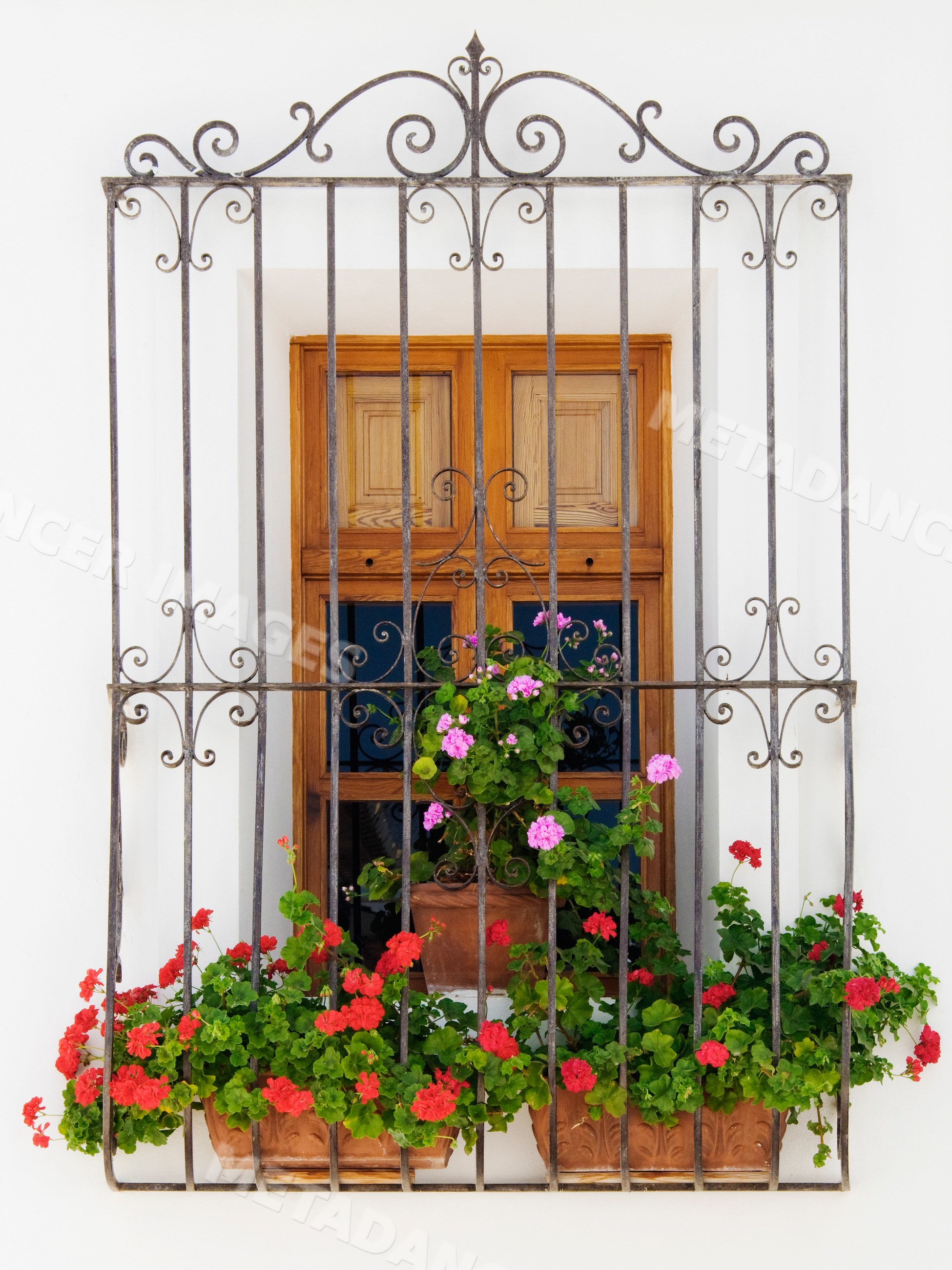 Window with potted plants and wrought iron grill, valencia, Spain