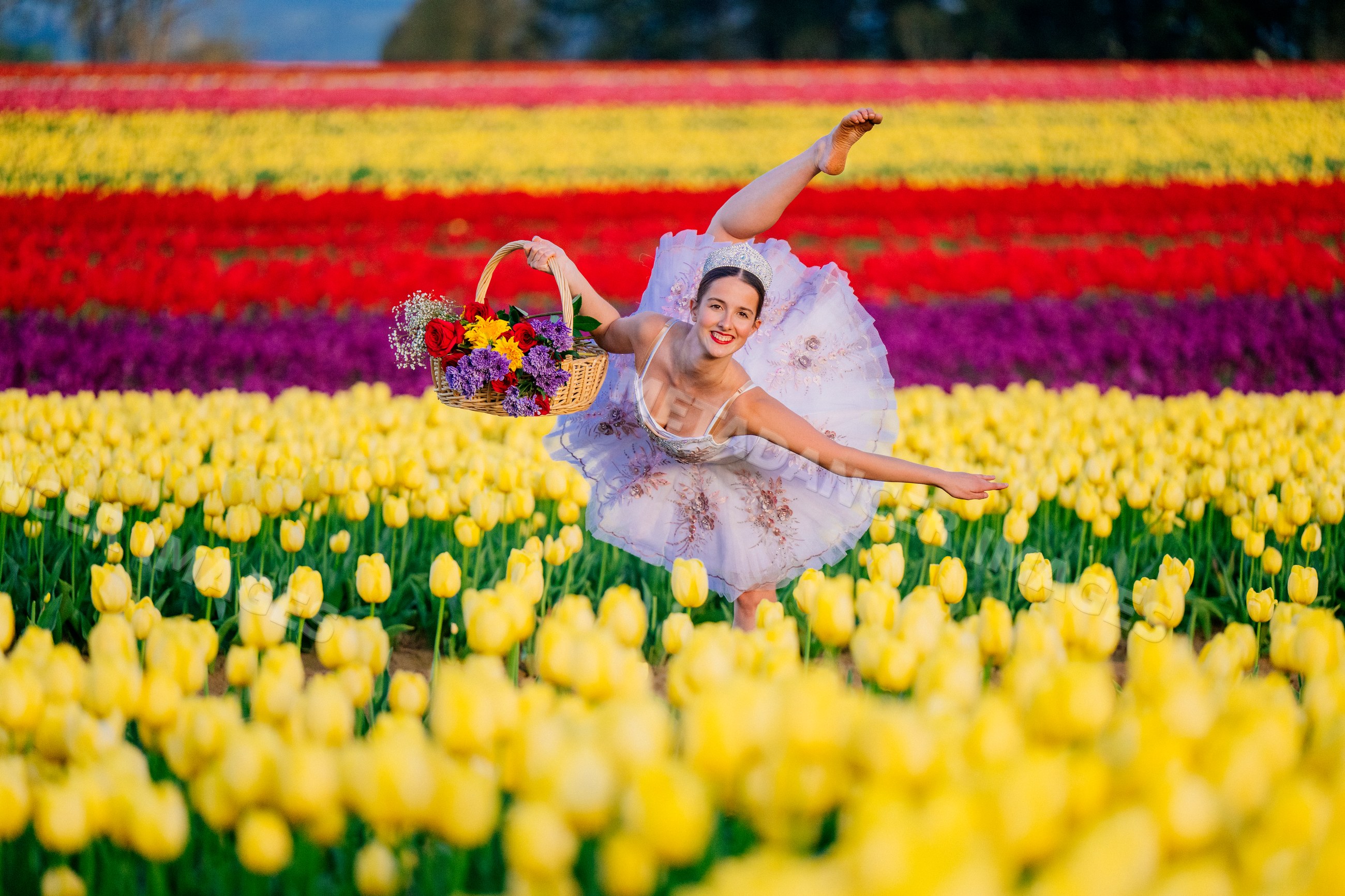 Ballet white dancer balancing with flower basket