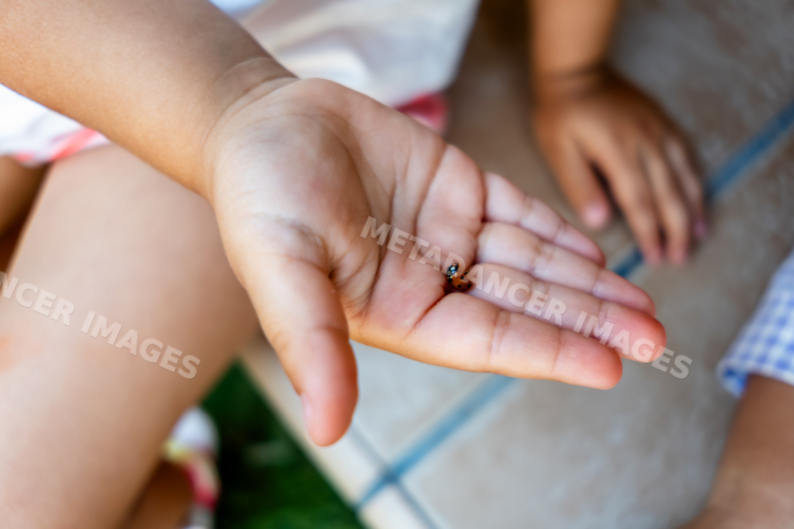 White child holding ladybug outdoors on tiled floor