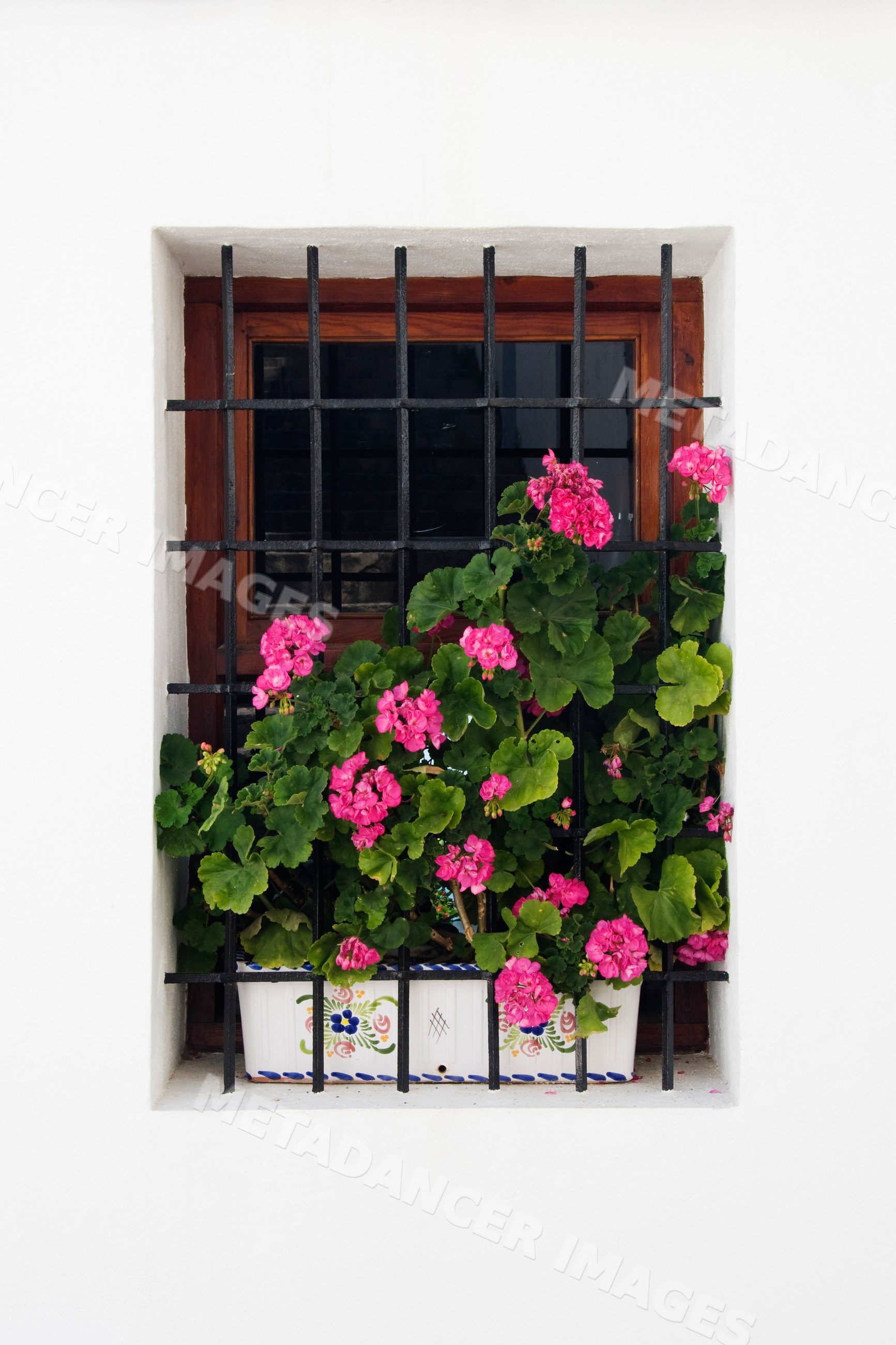 Potted plant with pink flowers Spain