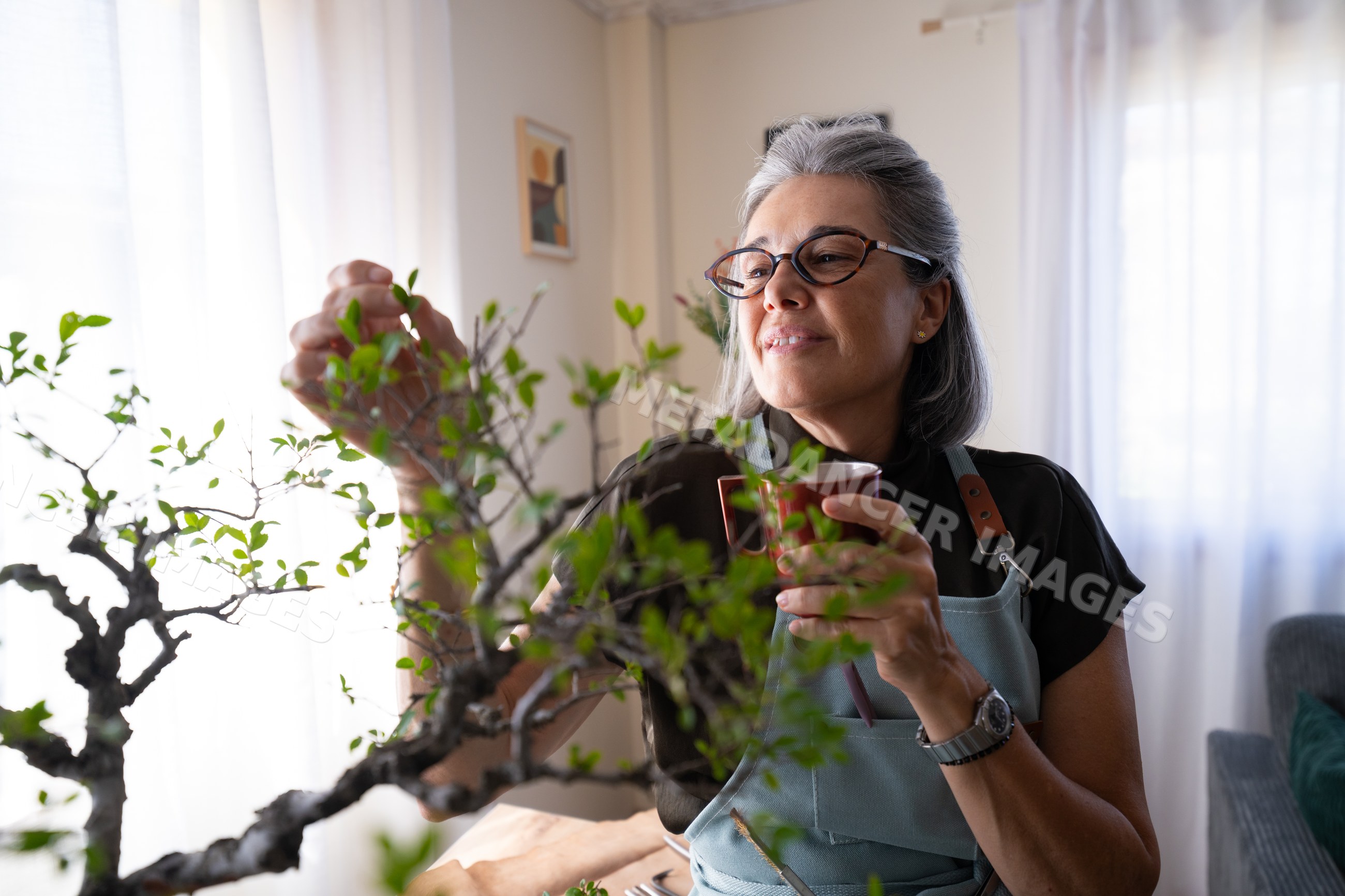 White woman tending bonsai tree indoors holding cup