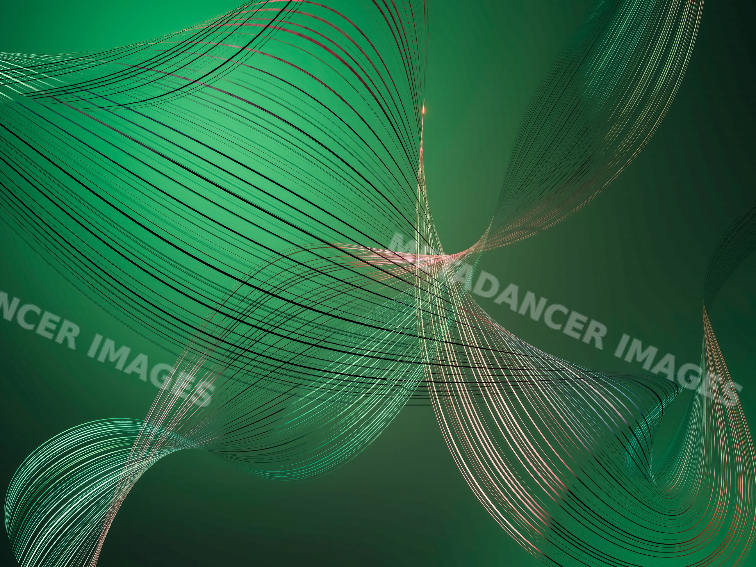 A digital abstract artwork with flowing curved lines on a green