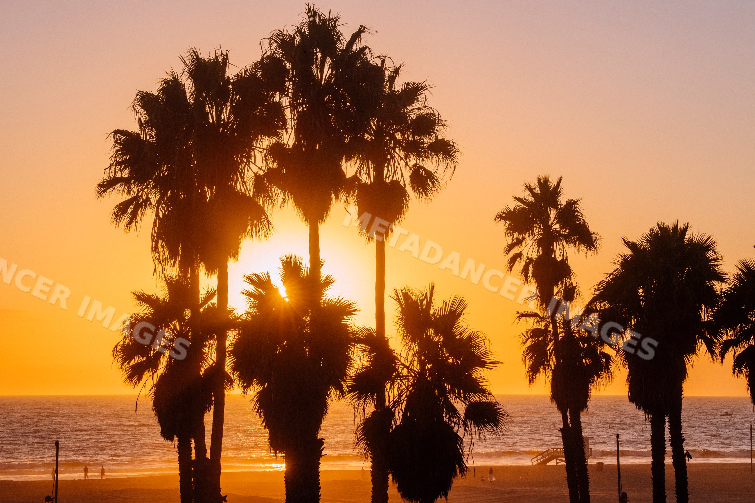 Sunset with palm trees at Santa Monica beach