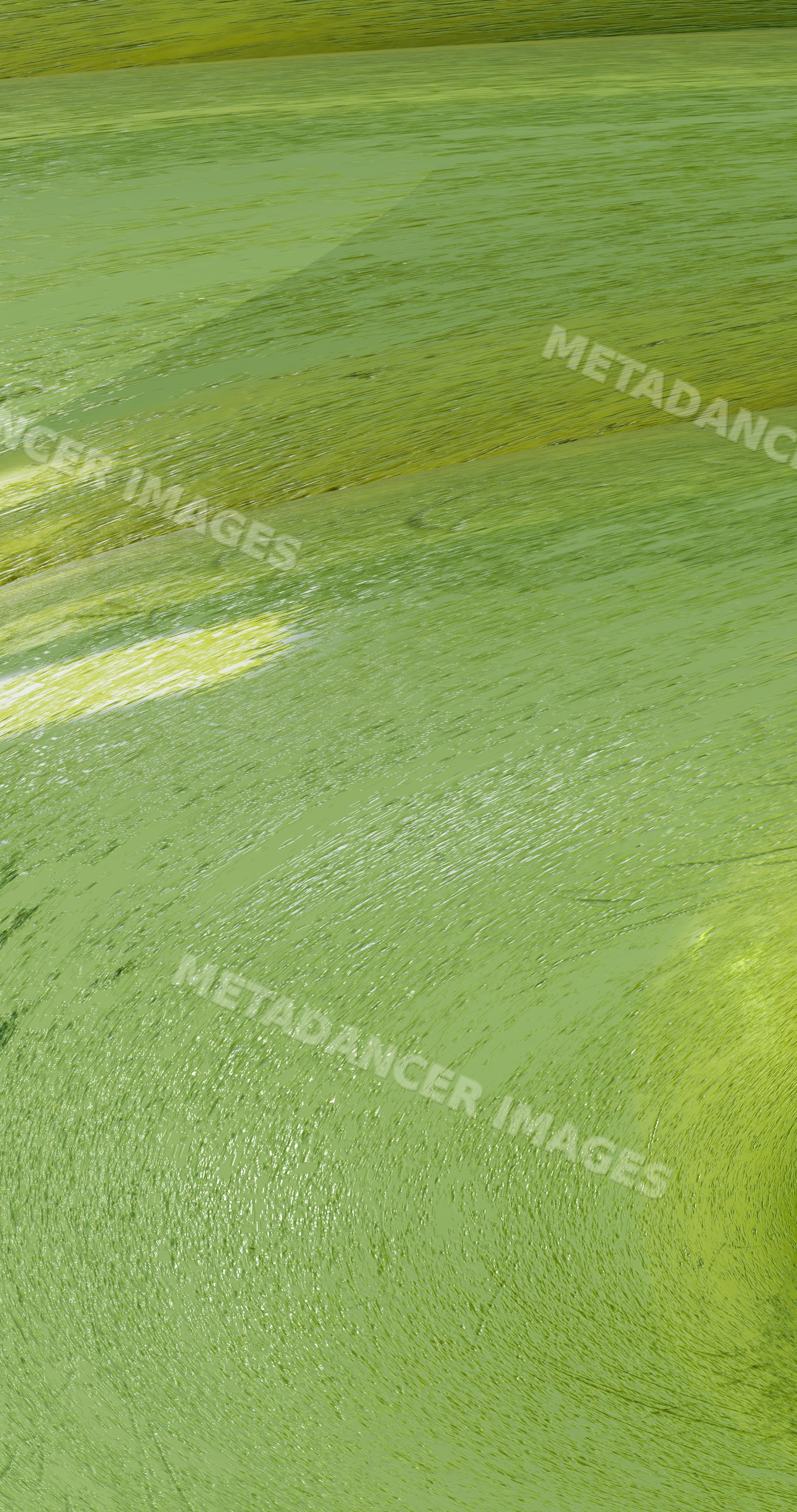 Abstract green brush stroke textured illustration