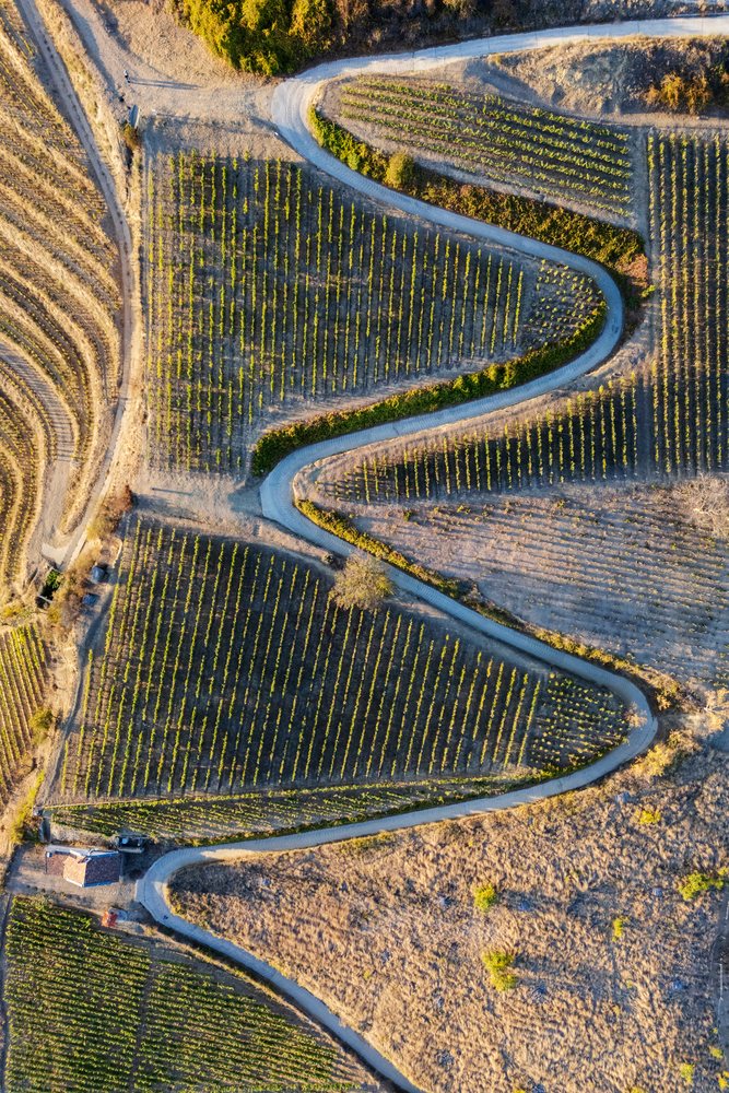 Winding road through Vineyards in tokaj, Hungary