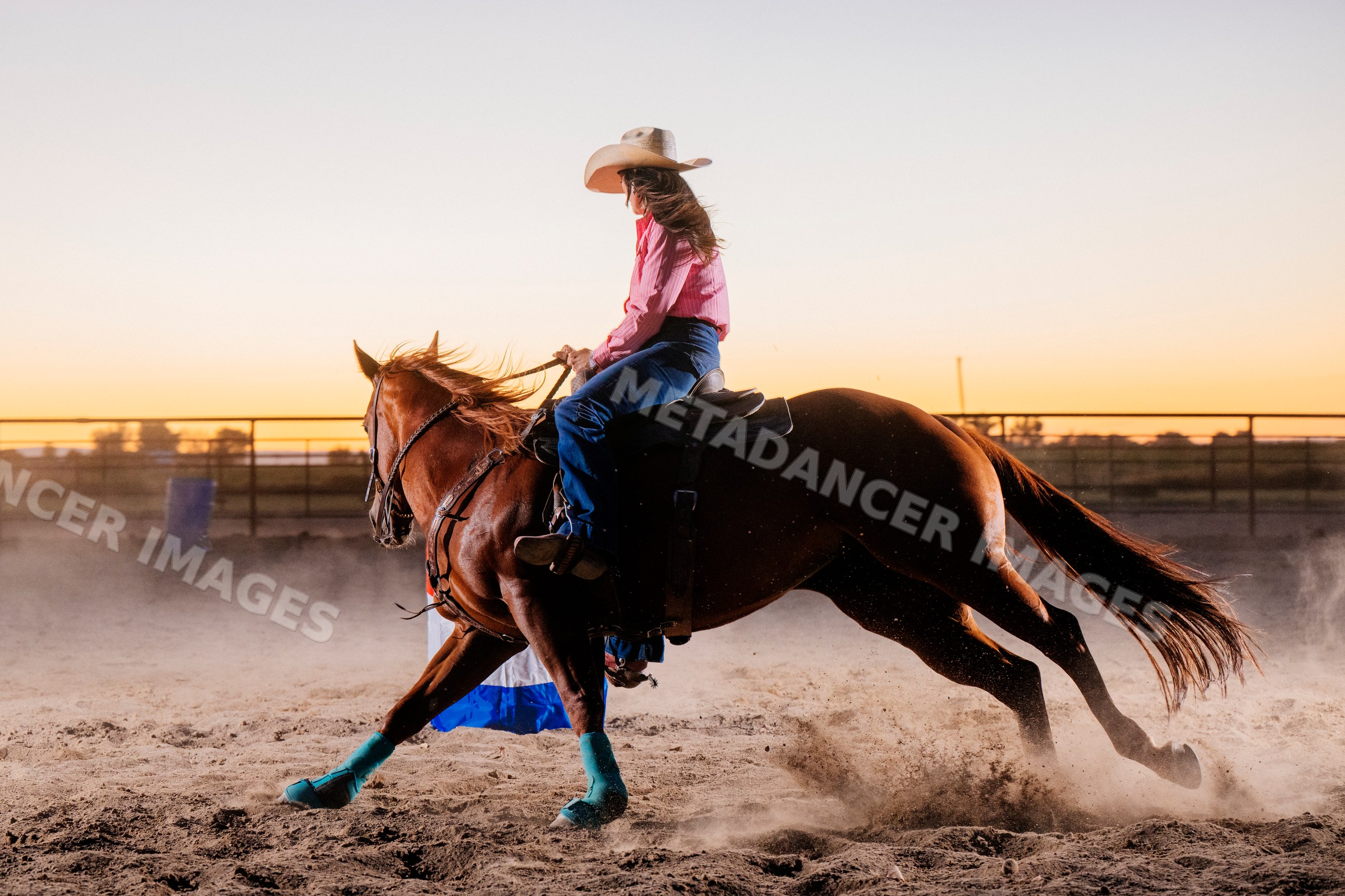 Horseback rider galloping a brown horse with turquoise leg wraps
