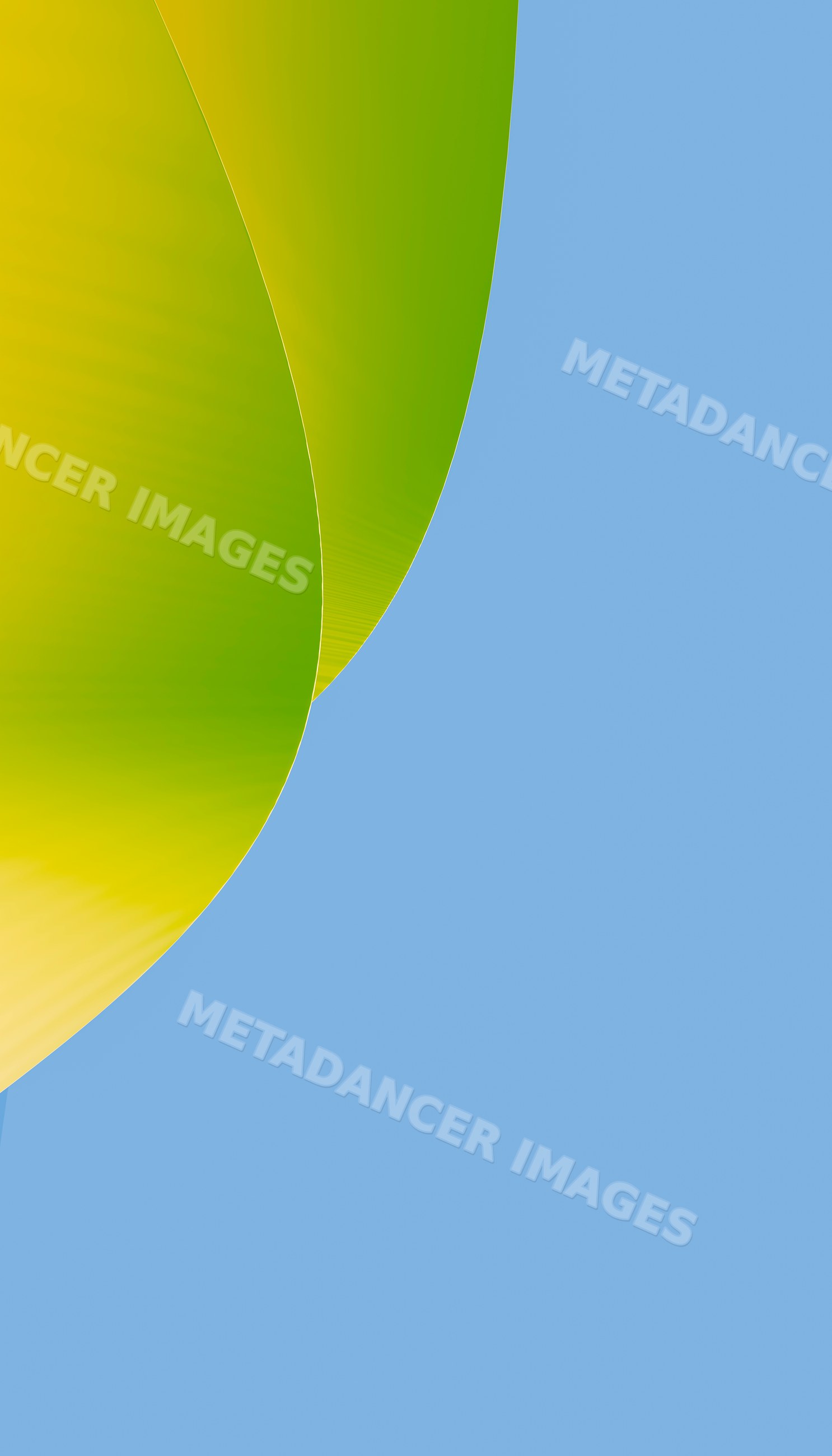 Green and yellow abstract curved ribbon against blue background