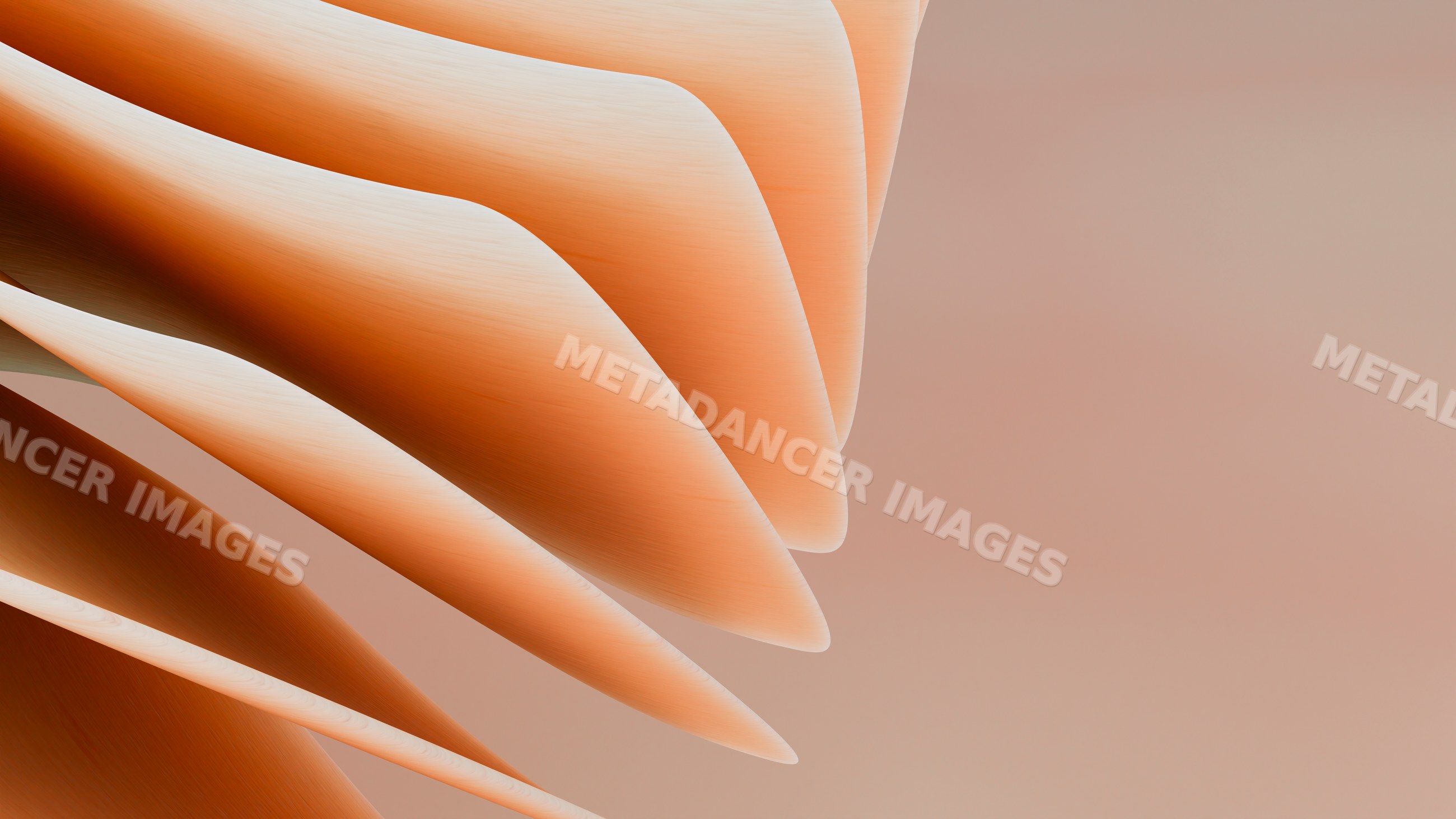 Abstract flowing tan and brown curving shapes with smooth textures