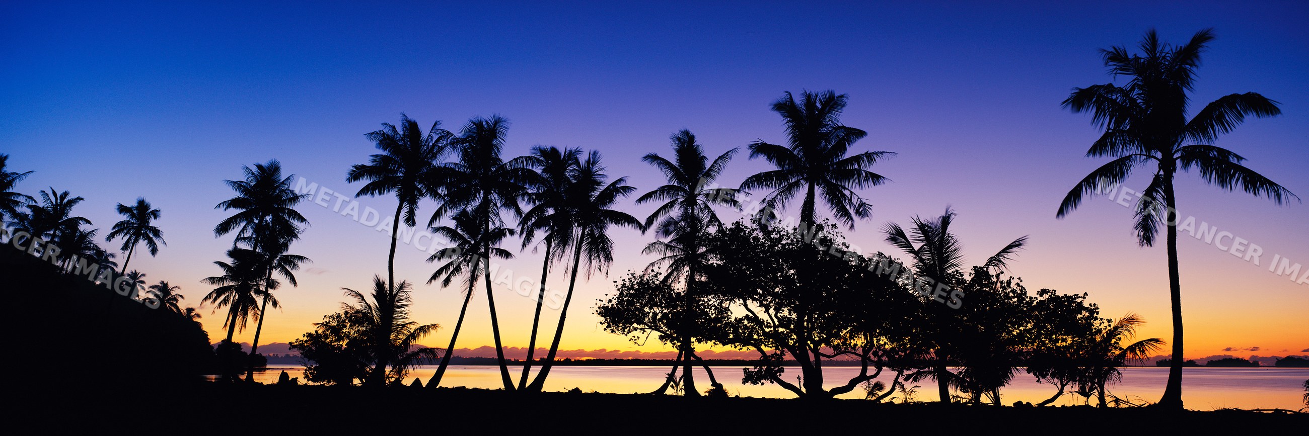 Sunrise over palm trees and water, polynesia