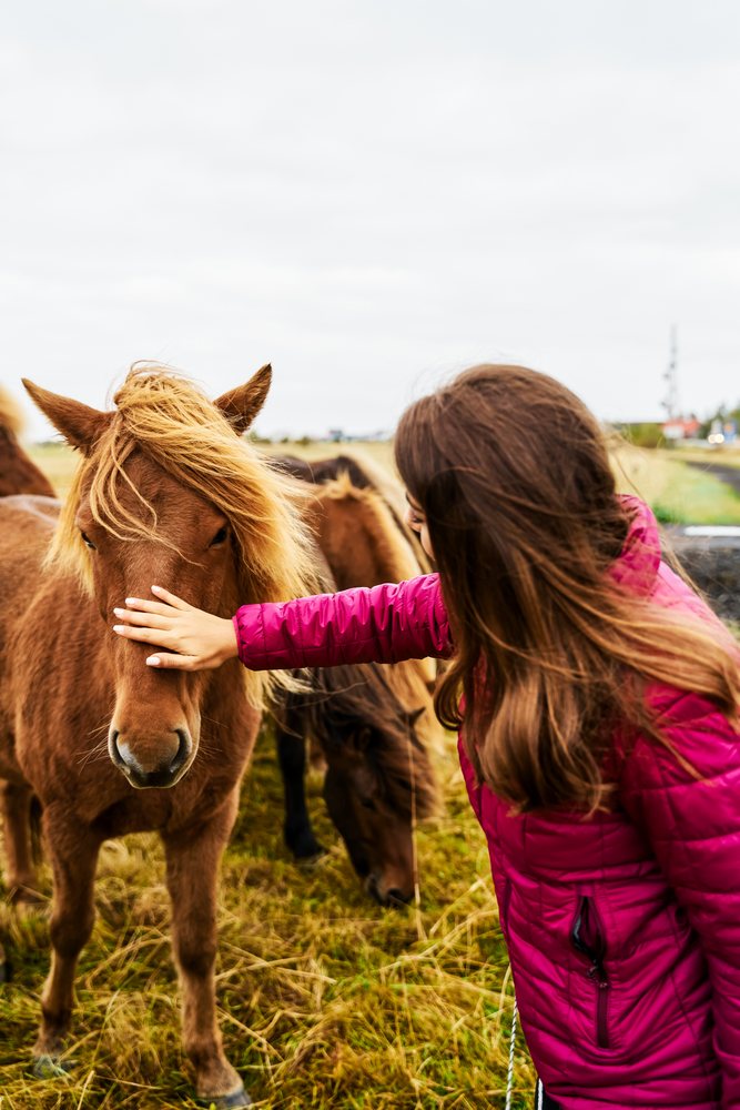White Woman gently pets a horse in a grassy Iceland field