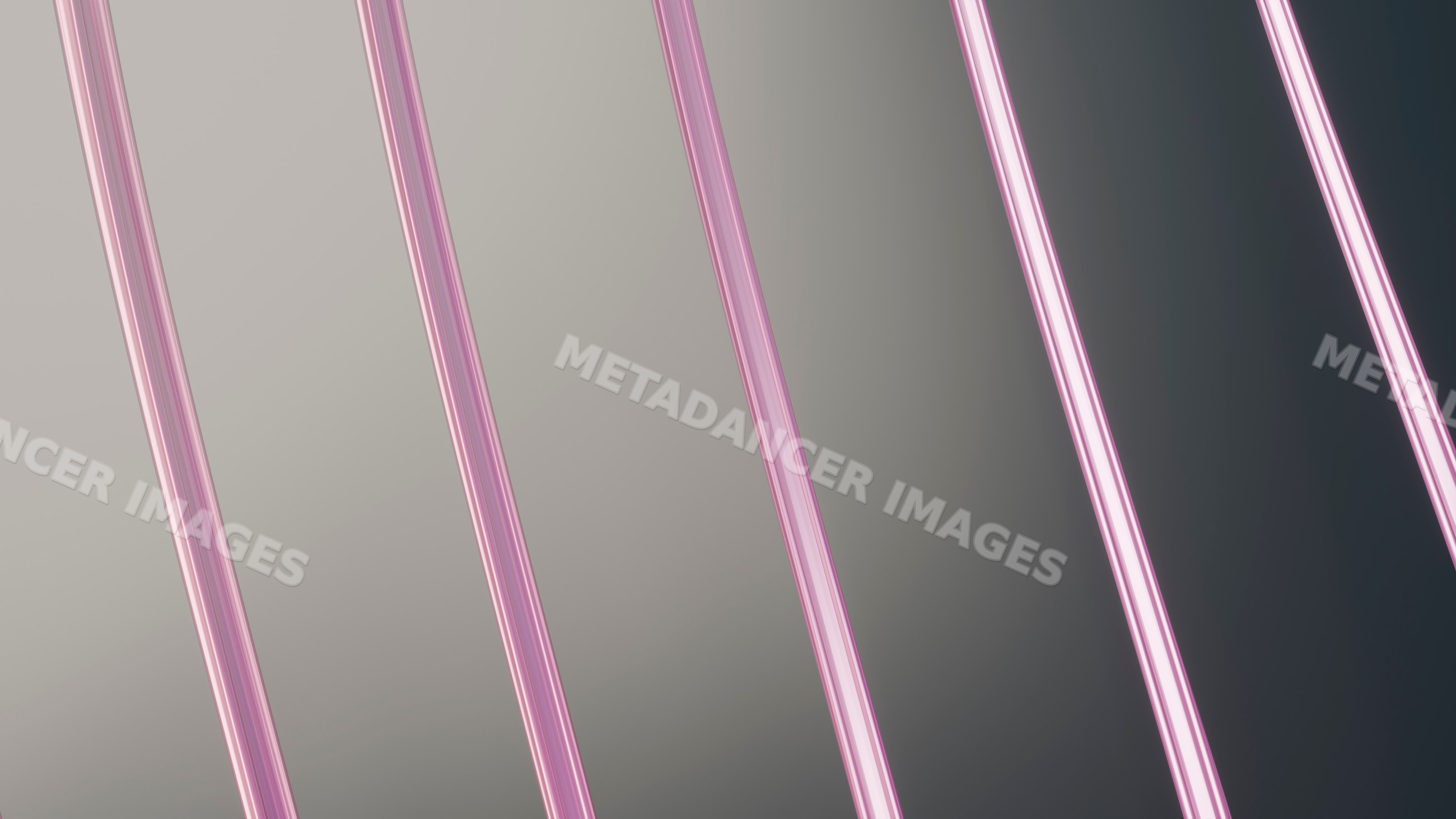 Pink neon tubes glowing in parallel arrangement