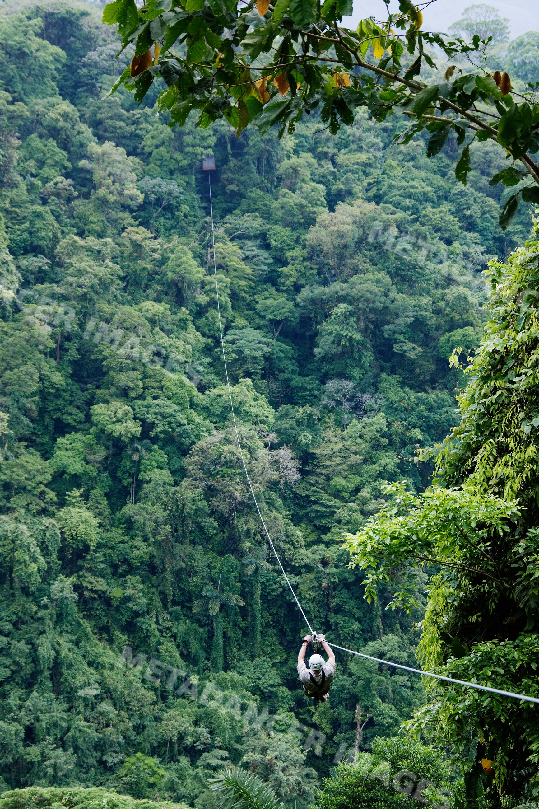 Person descending on zip line over tropical forest canopy