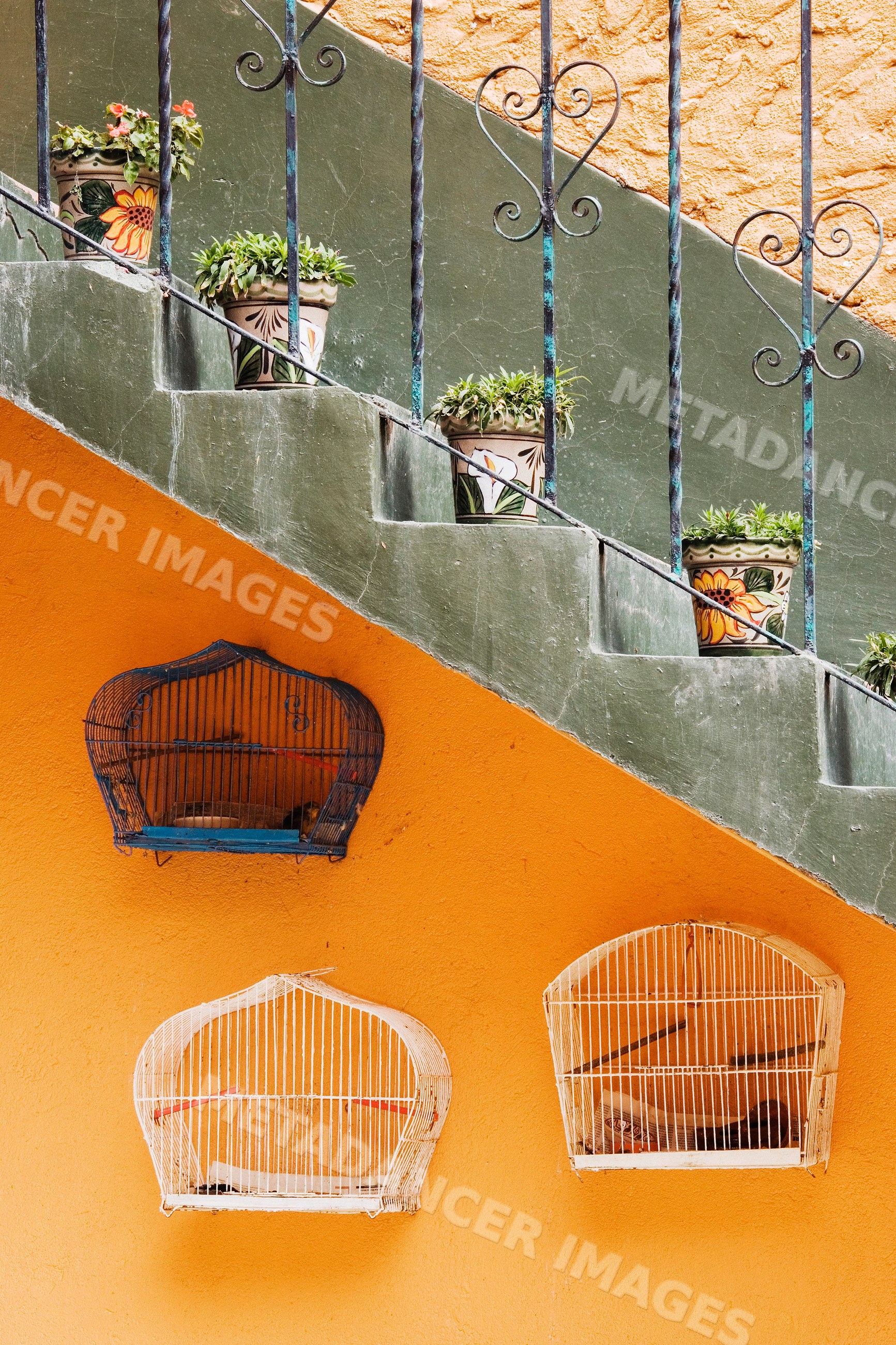 Birdcages hanging on an orange wall under staircase with leafy potted