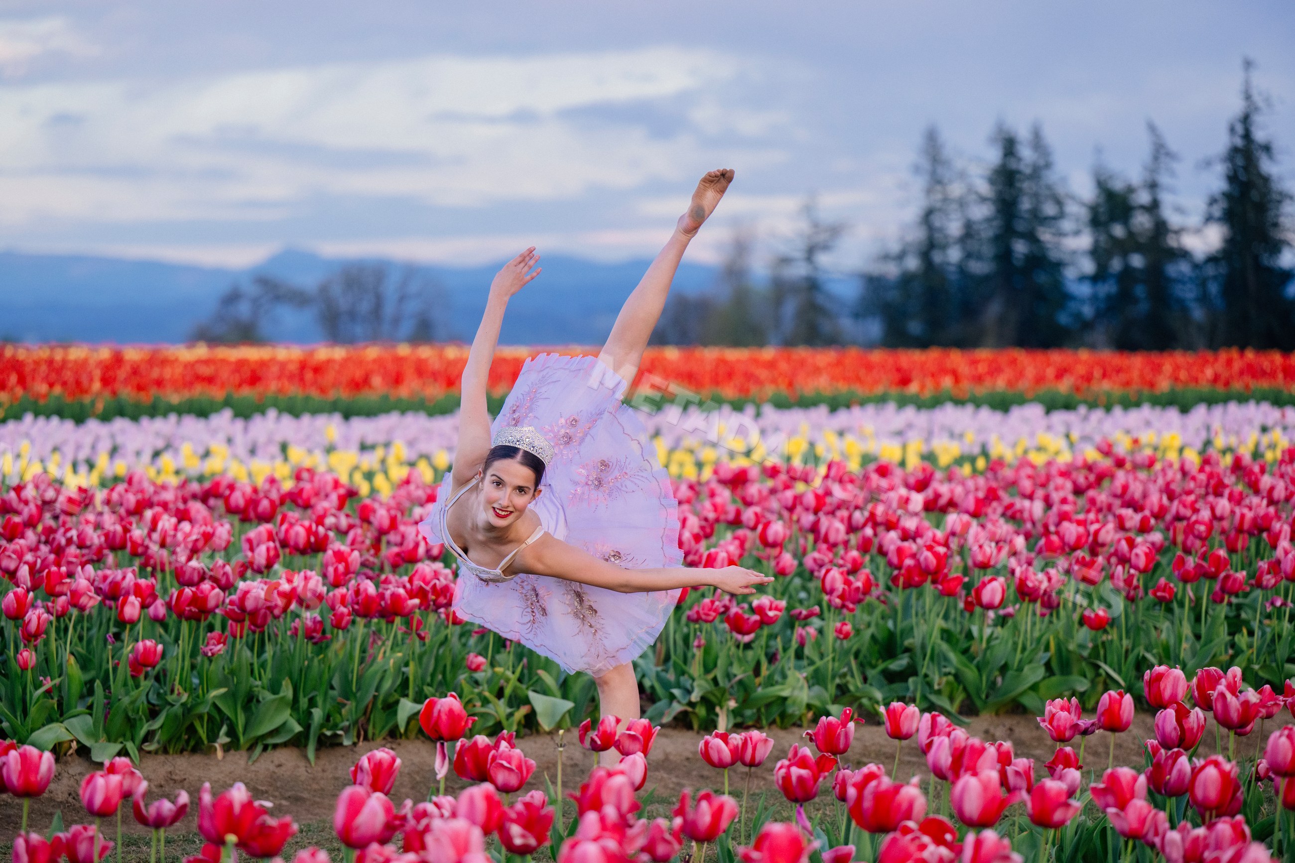 Ballet white dancer striking a graceful pose in colorful tulip field