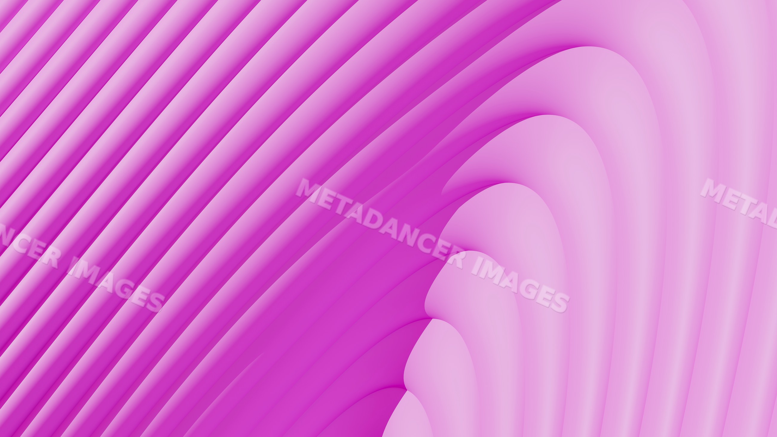 Abstract pink and purple flowing wave lines illustration