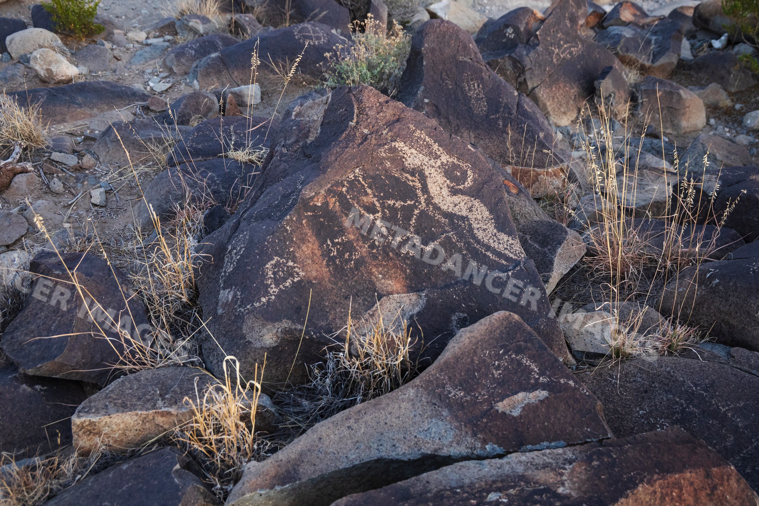 Petroglyphs carved into weathered boulders