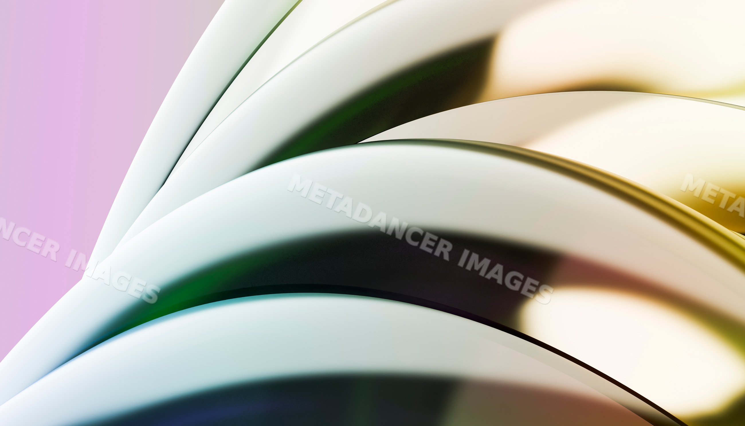 Close-up of open curved pages showing paper texture and light