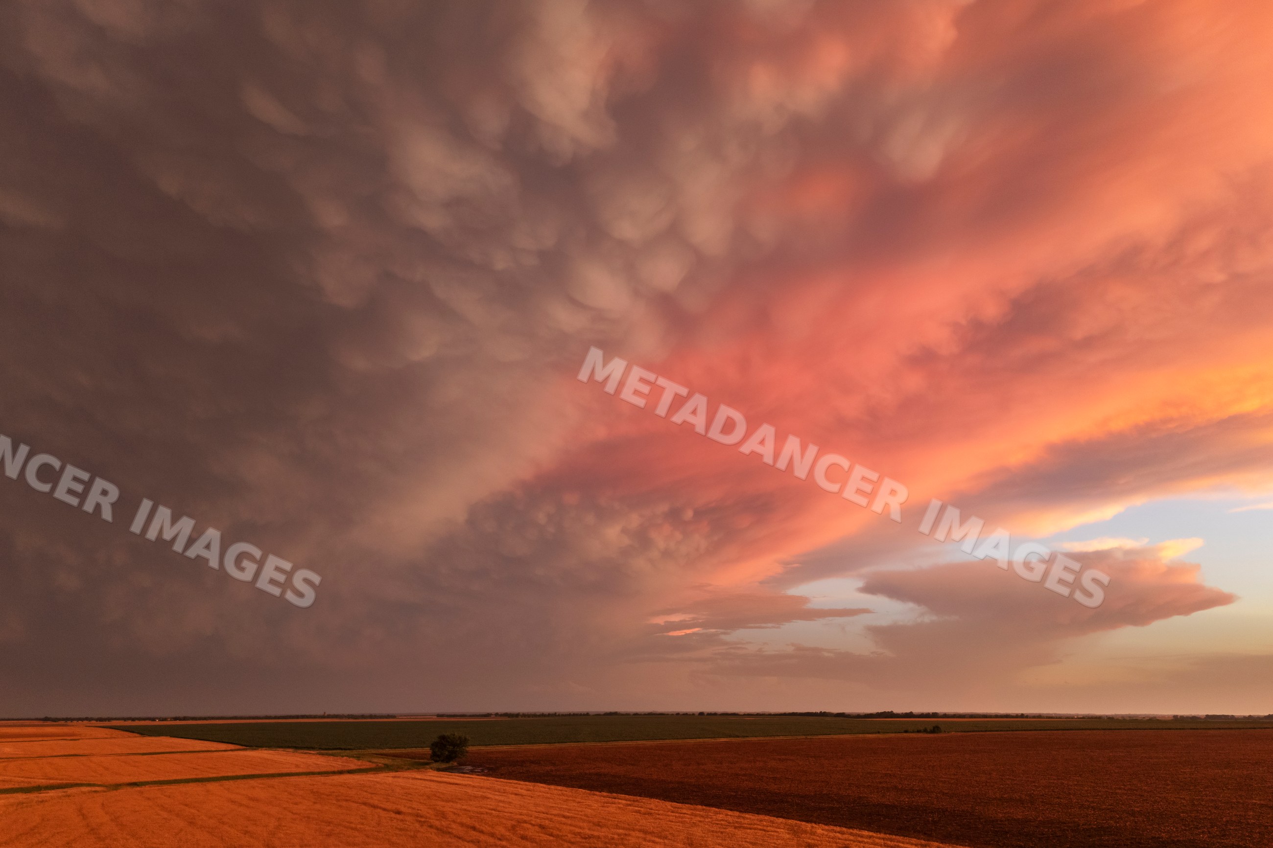 Mammatus clouds at Sunset over farmland in windom, kansas