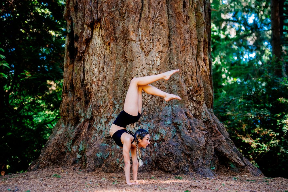 Contortionist holding handstand pose by giant tree in Tacoma forest