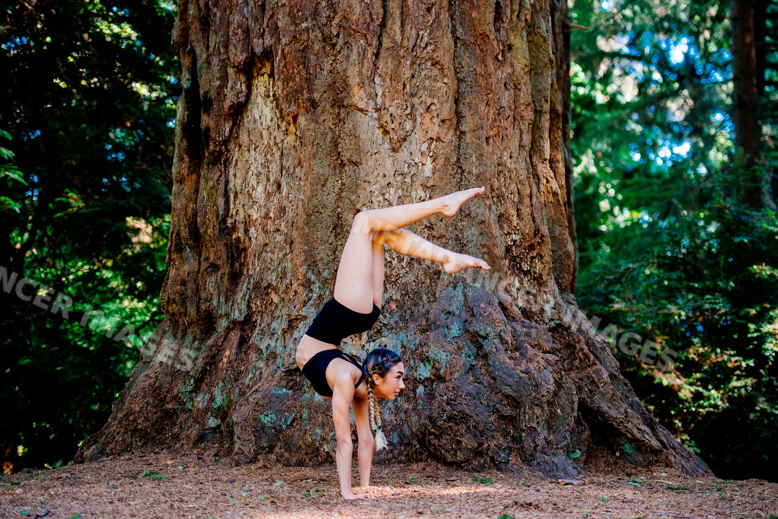 Contortionist holding handstand pose by giant tree in Tacoma forest