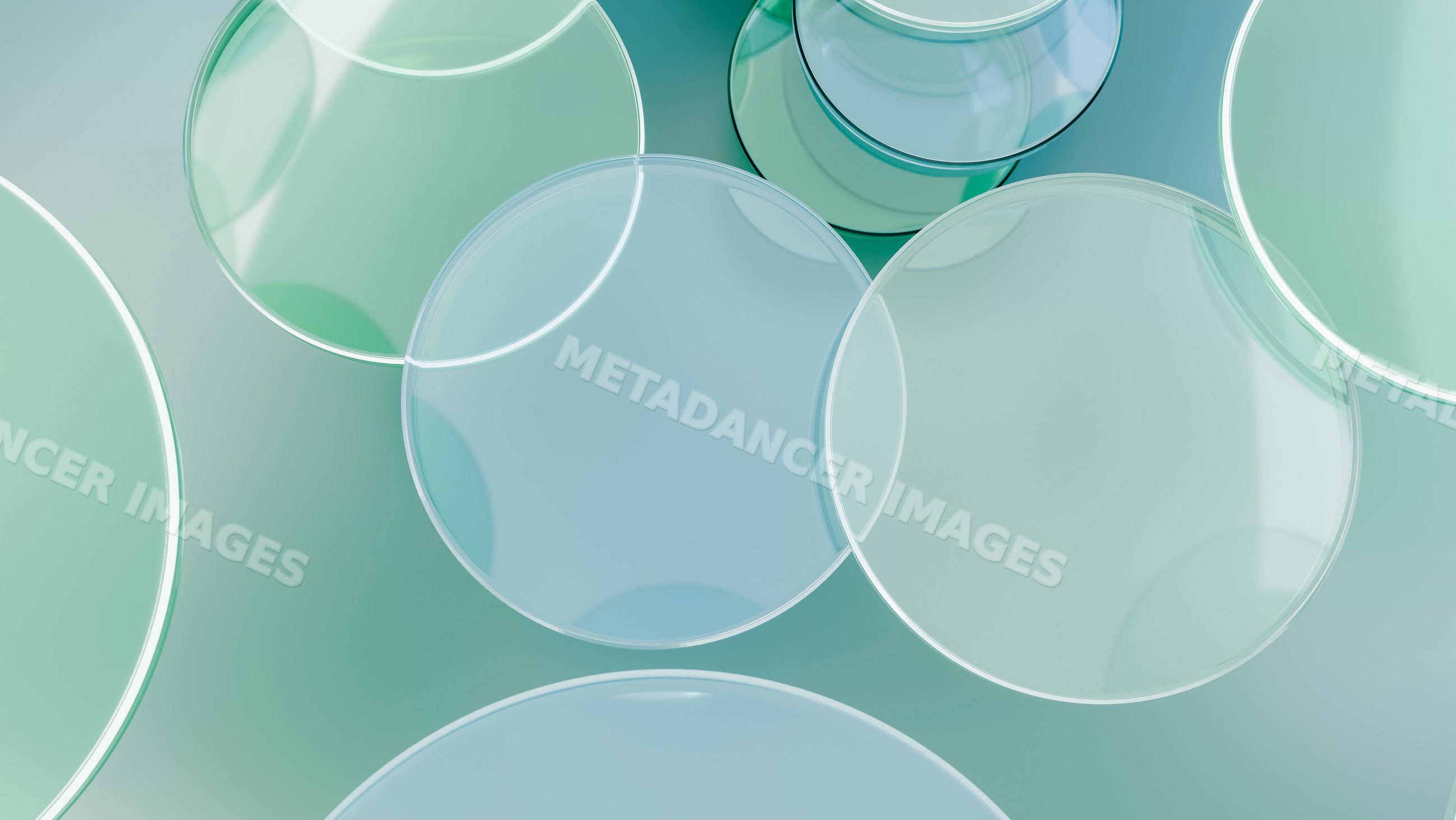 Transparent petri dishes arranged for laboratory research