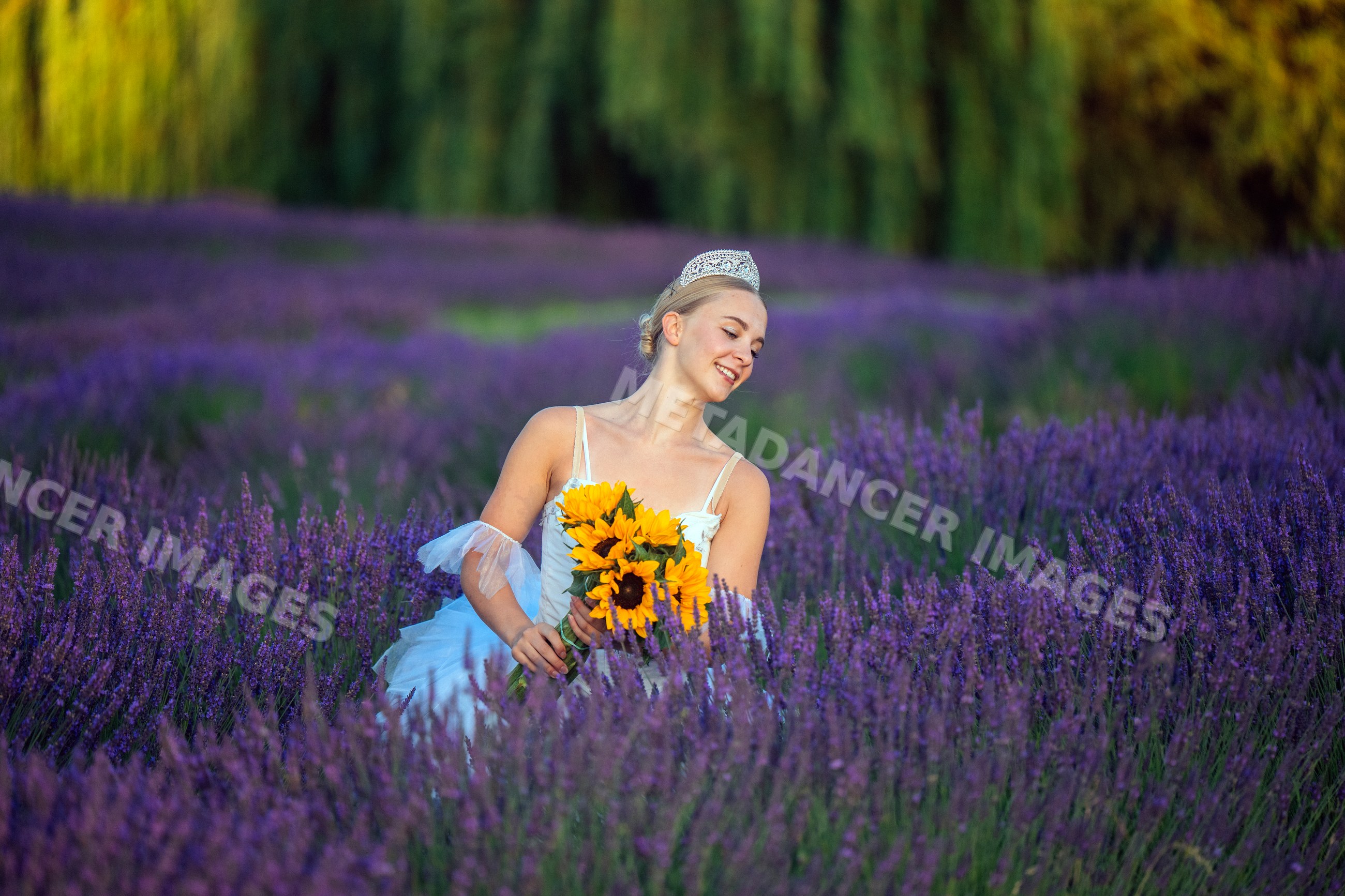 A white woman with a sunflower bouquet in a lavender field in WA, USA