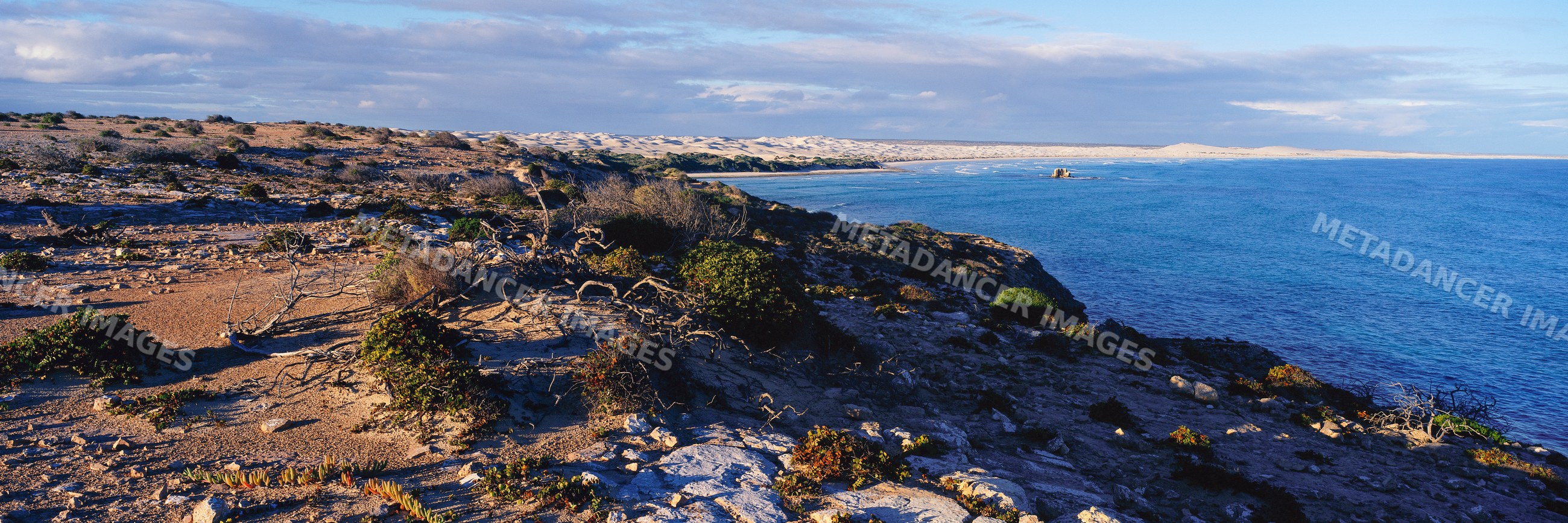 Coastal cliffs and dunes along the great australian bight