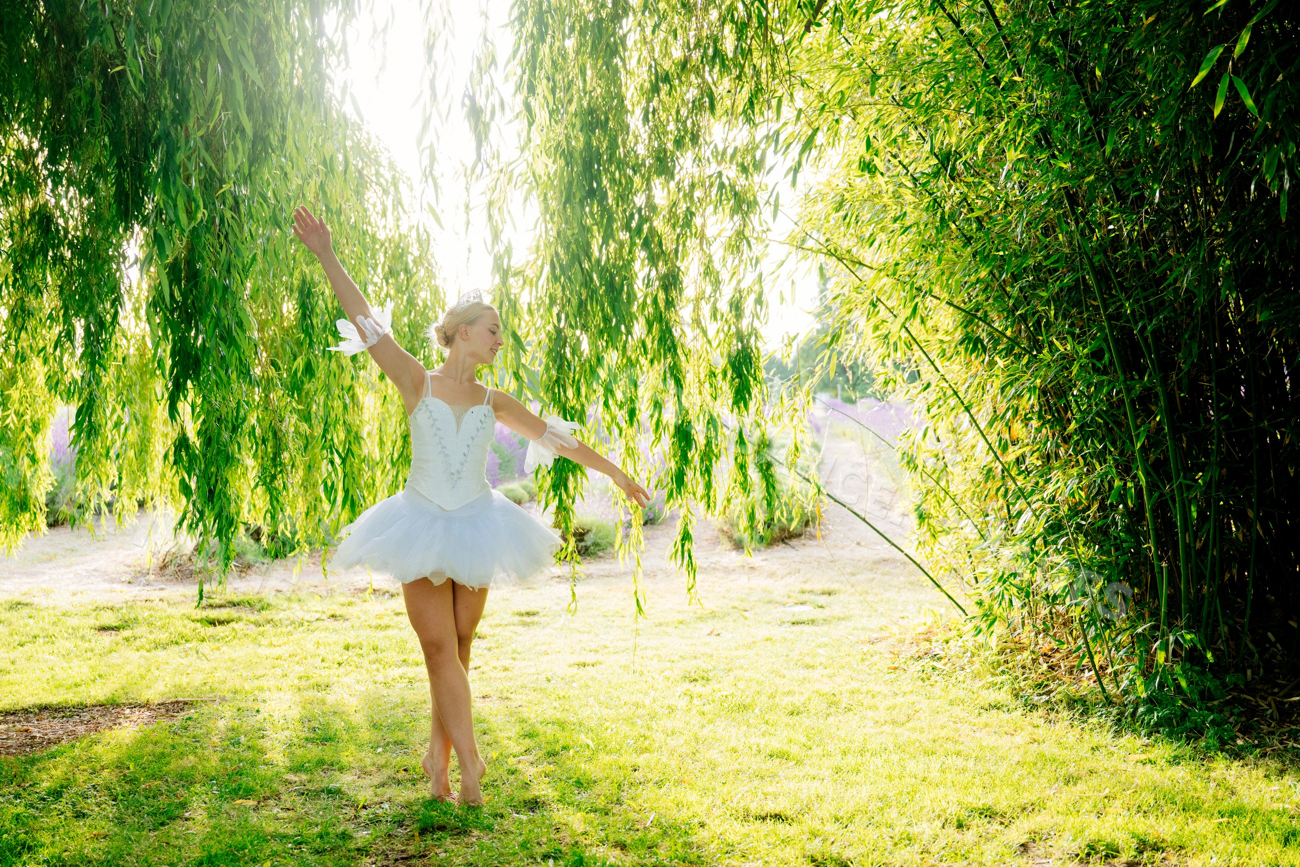 A ballerina dances gracefully outdoors under a weeping willow tree