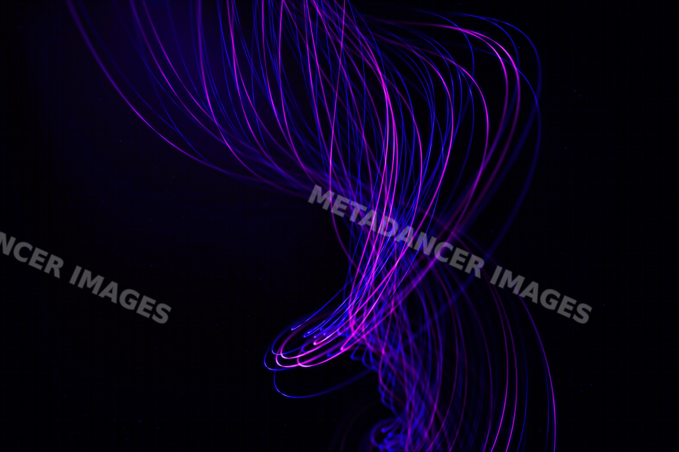Curved purple and blue light trails form an abstract glowing pattern