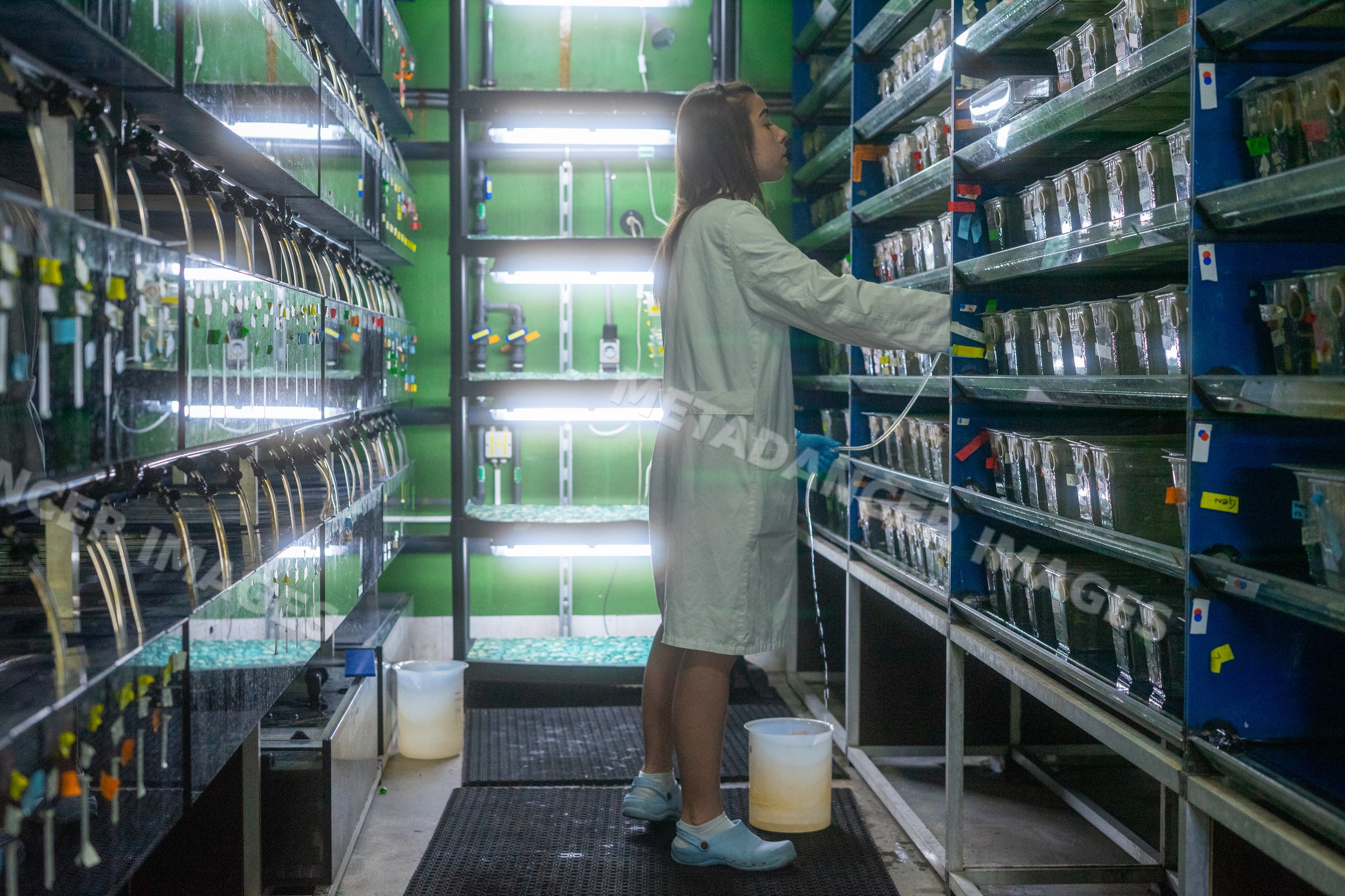 Scientist conducts aquatic research in a laboratory in Spain