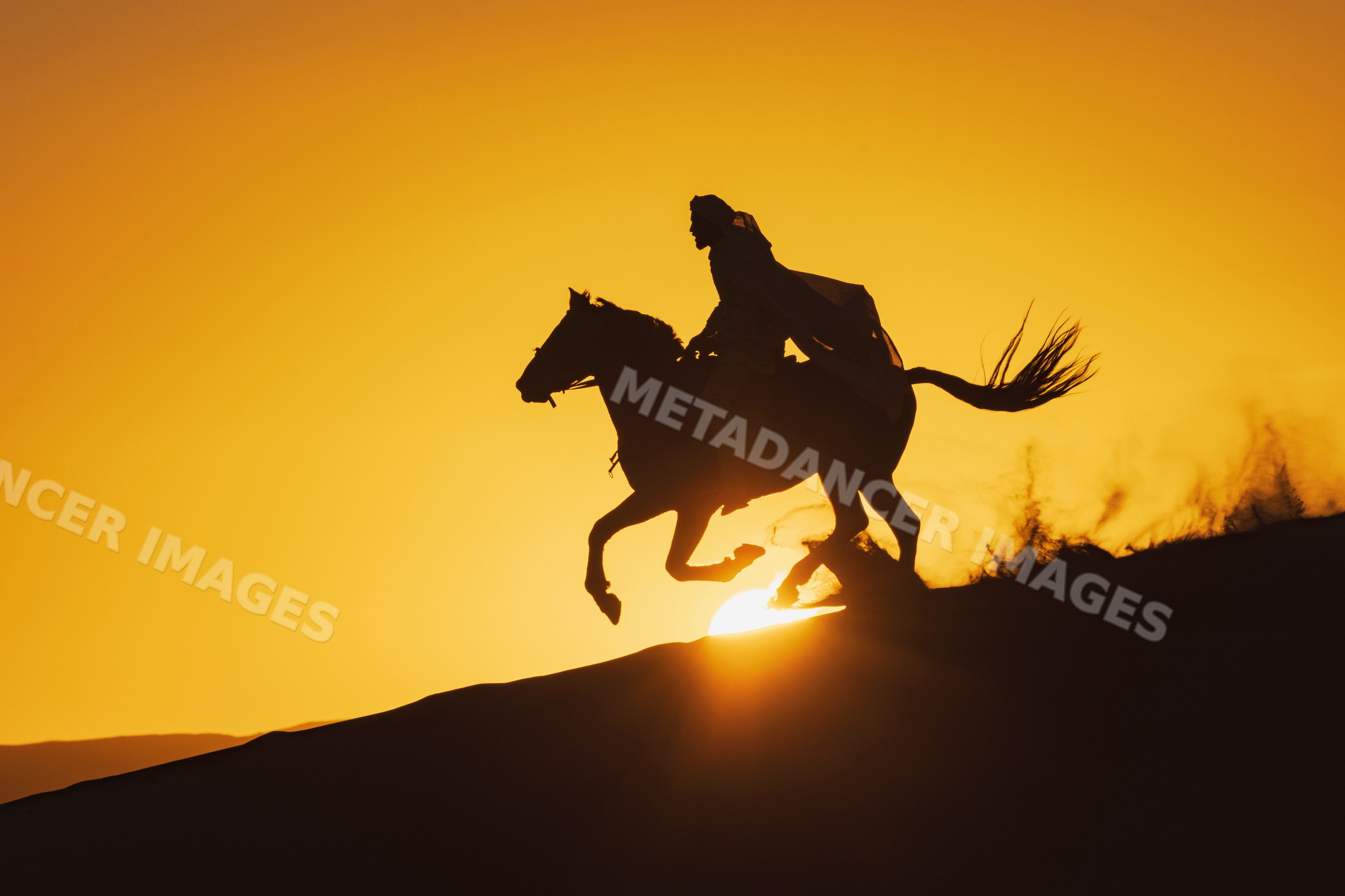 Horseman riding horse on Desert dunes at Sunset in Morocco