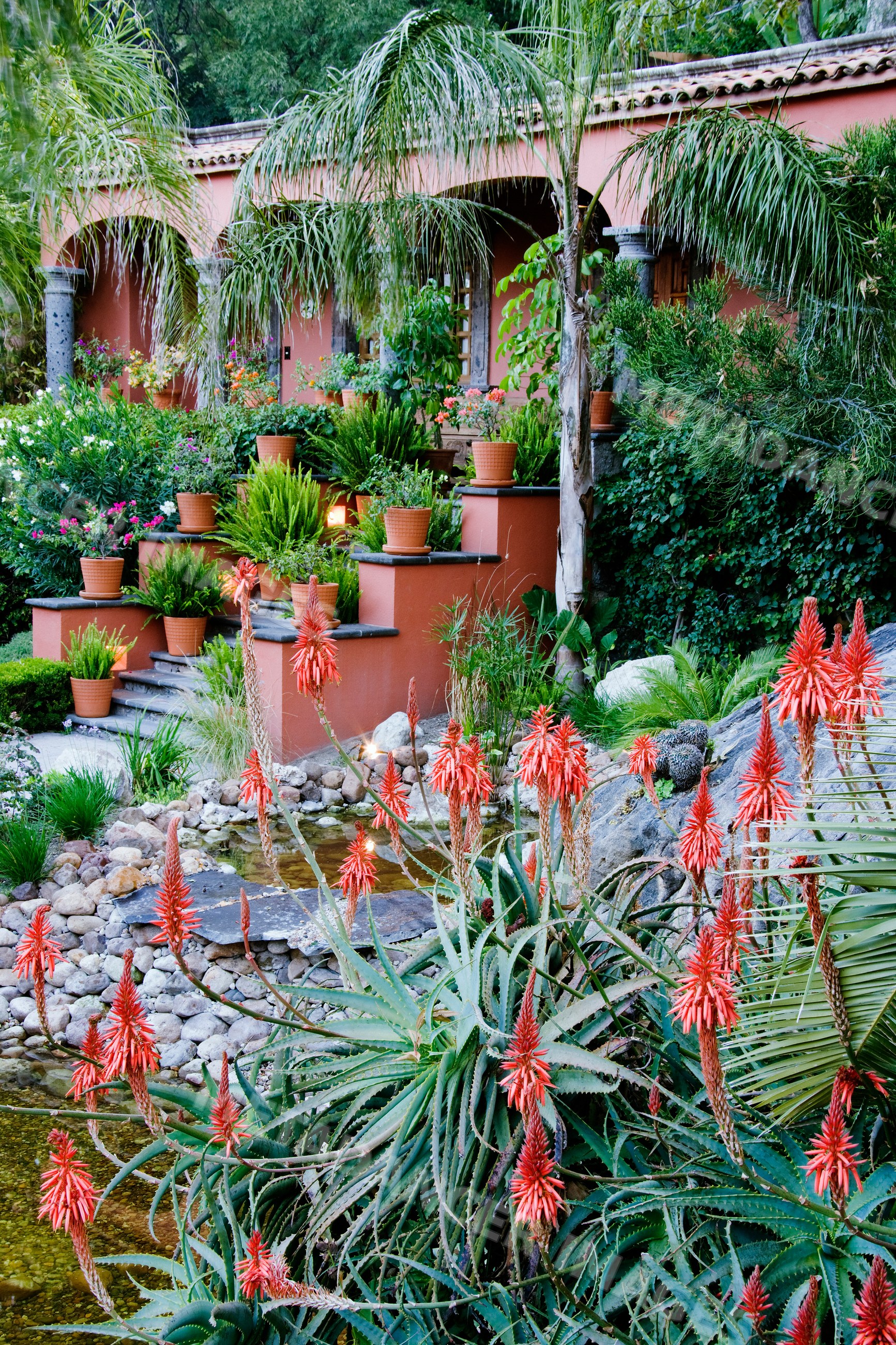 Casa de sierra nevada hotel garden with aloe flowers