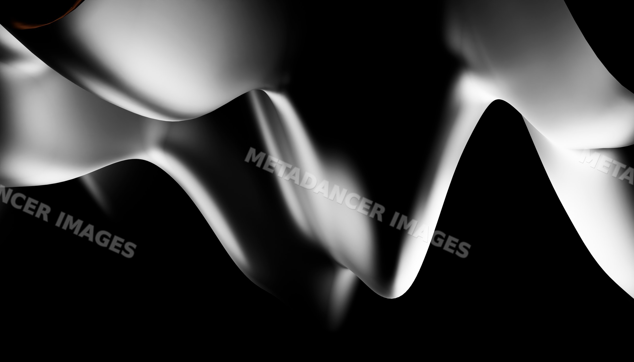 Abstract black and white flowing curves create a minimalist elegant