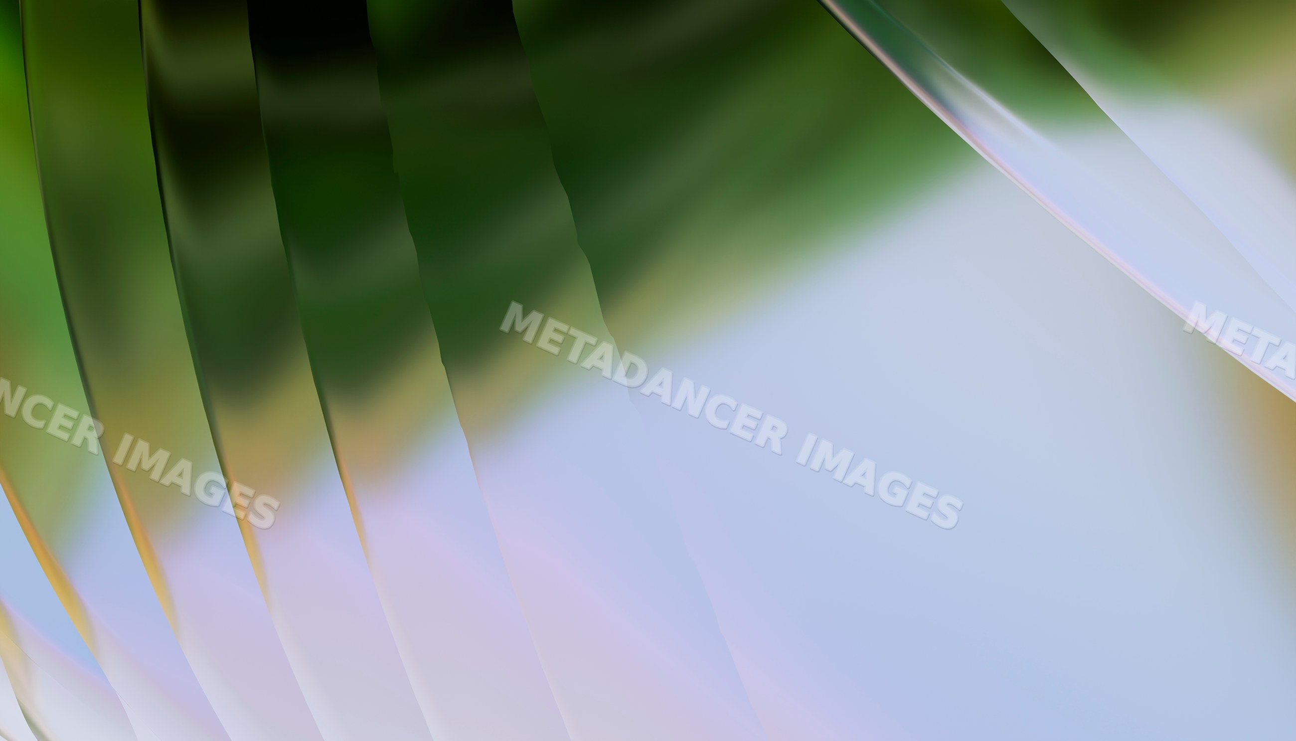 Abstract blurred soft pastel colors create a smooth modern background