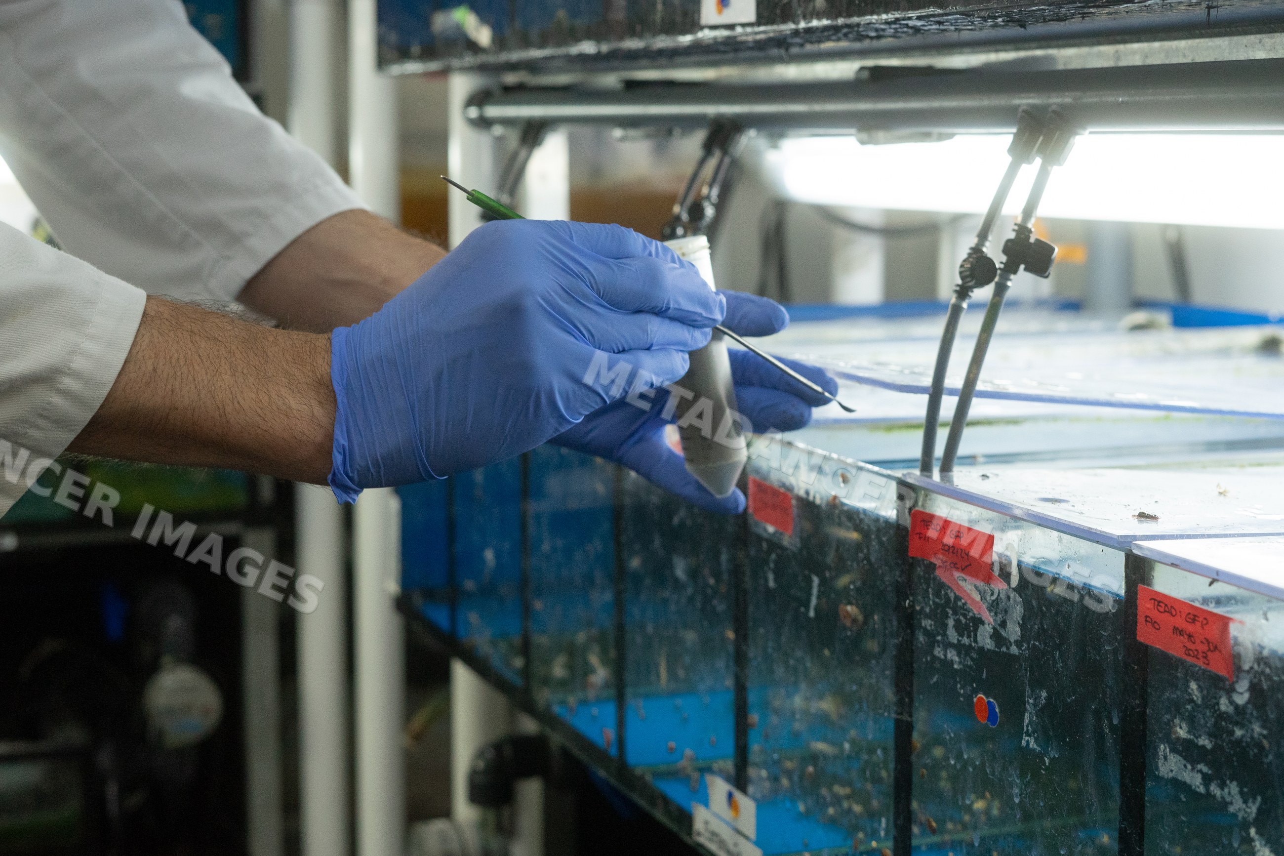 Scientist handles samples