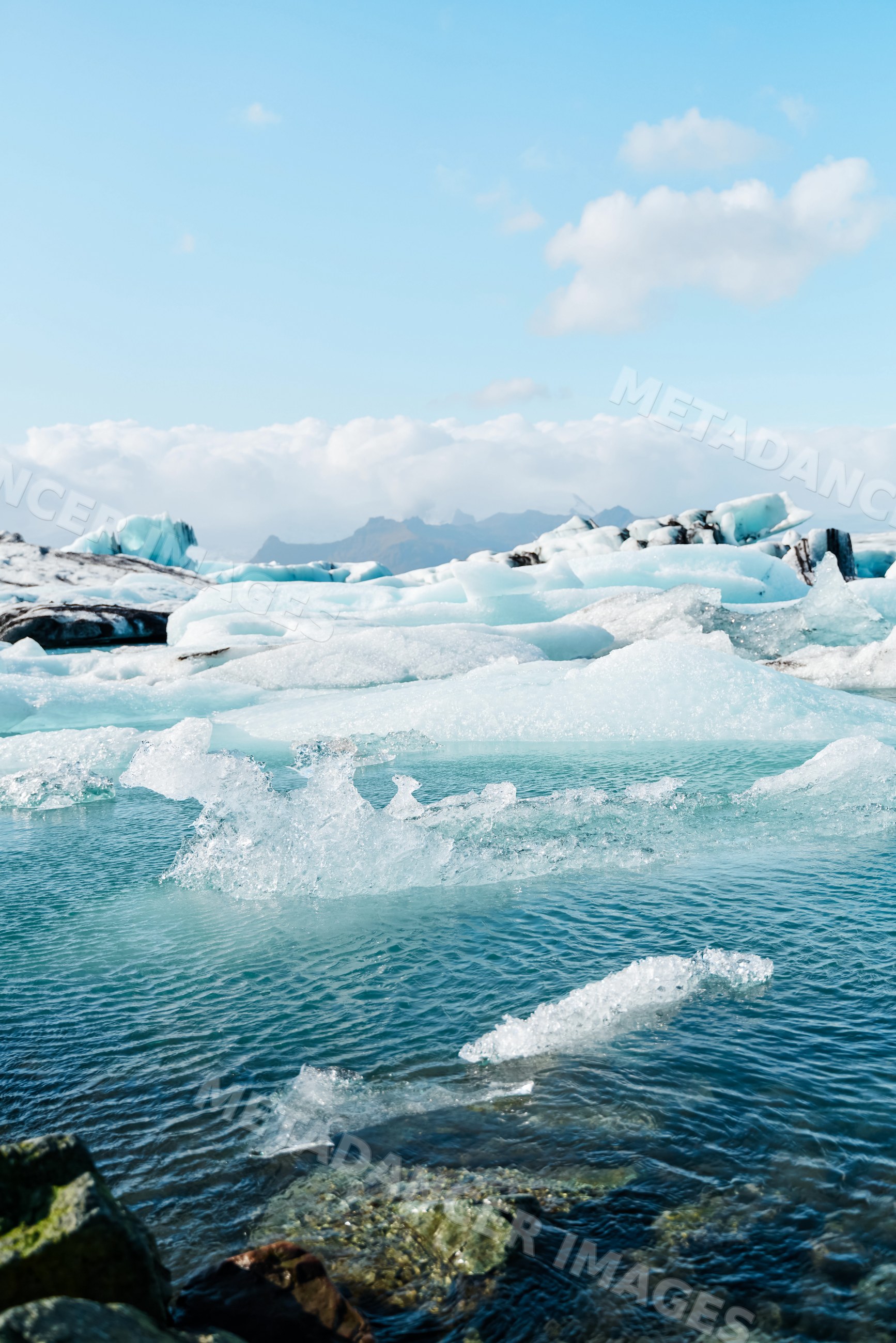 Melting blue icebergs floating in clear arctic water